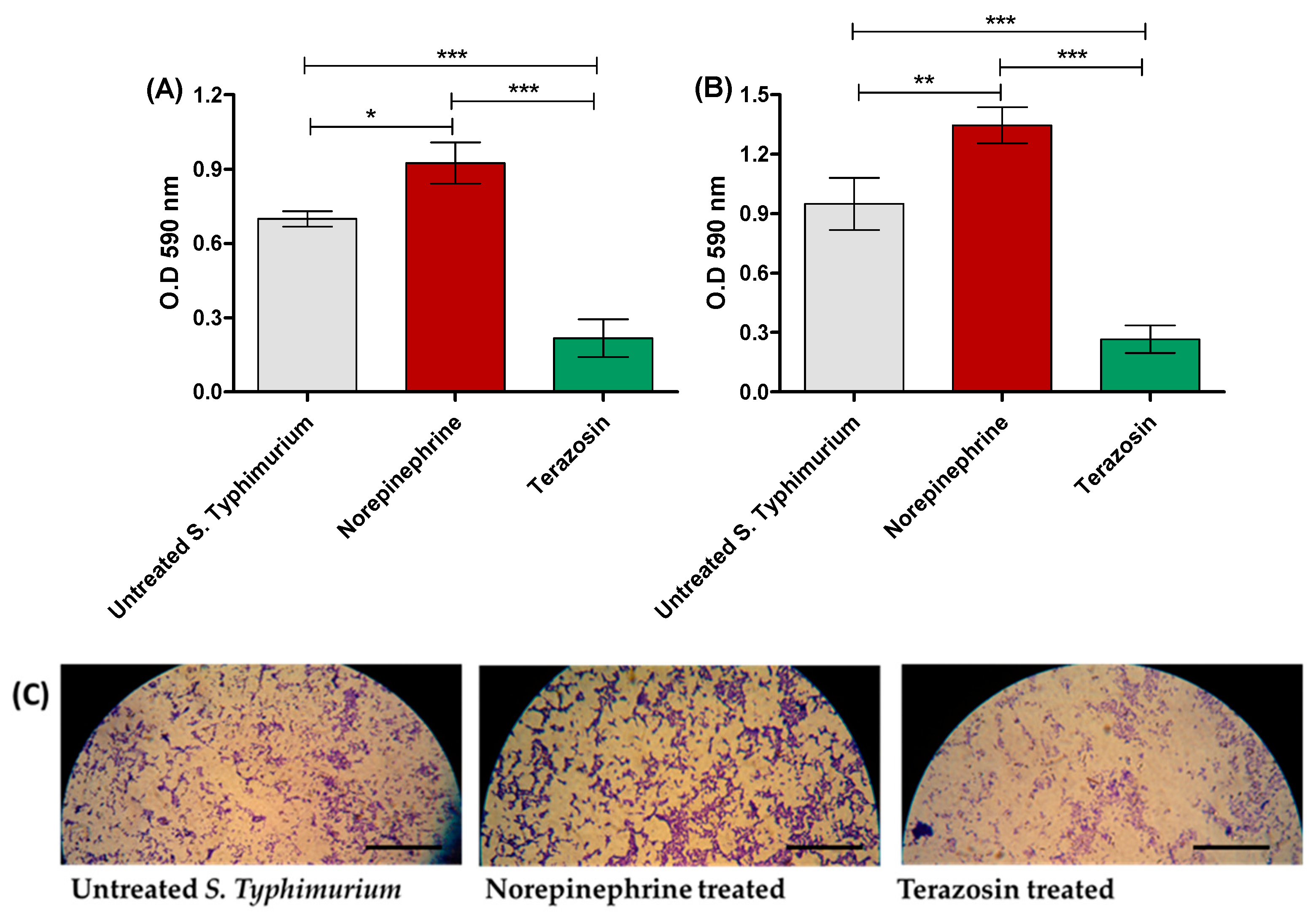 Antibiotics 11 00465 g002
