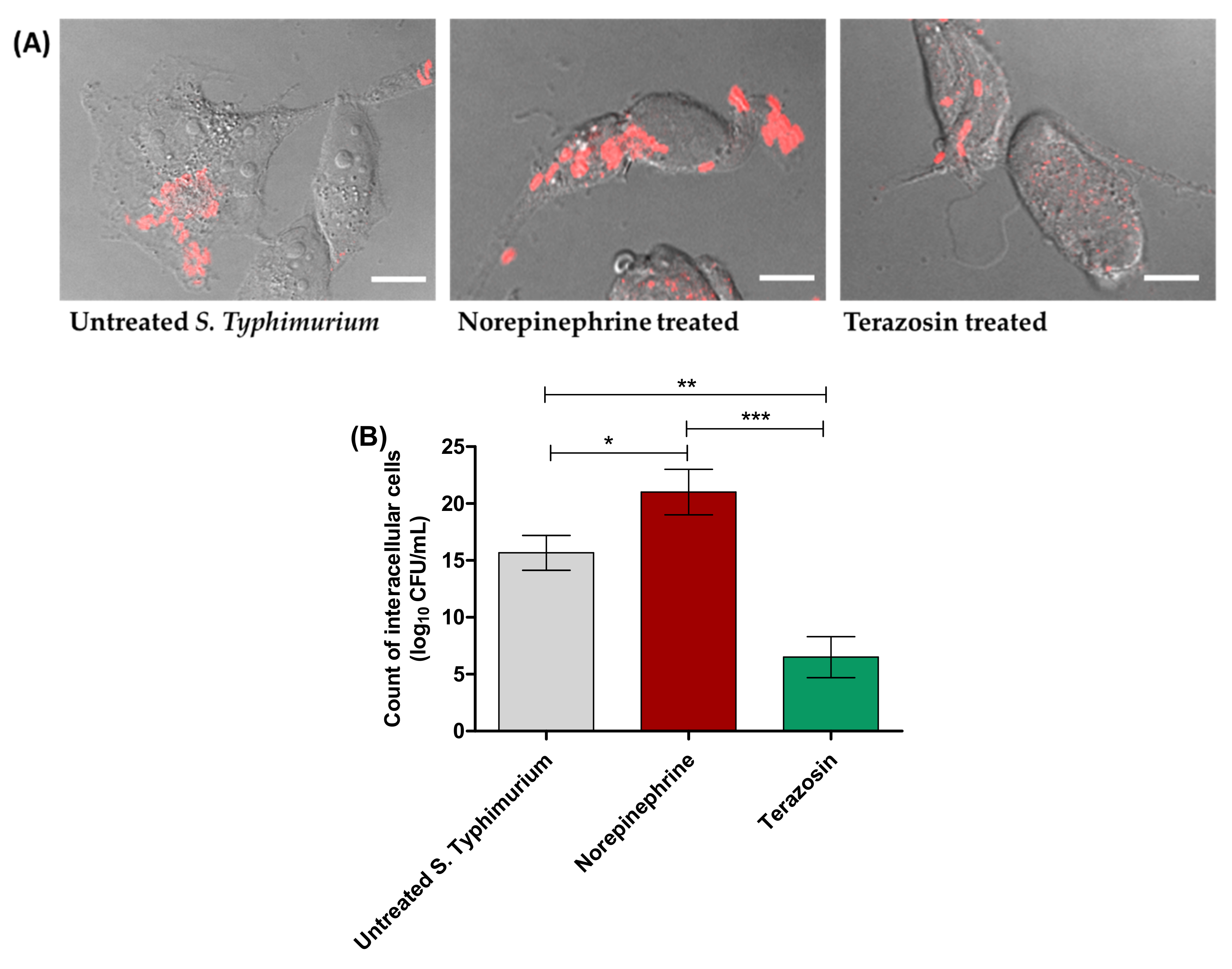 Antibiotics 11 00465 g003