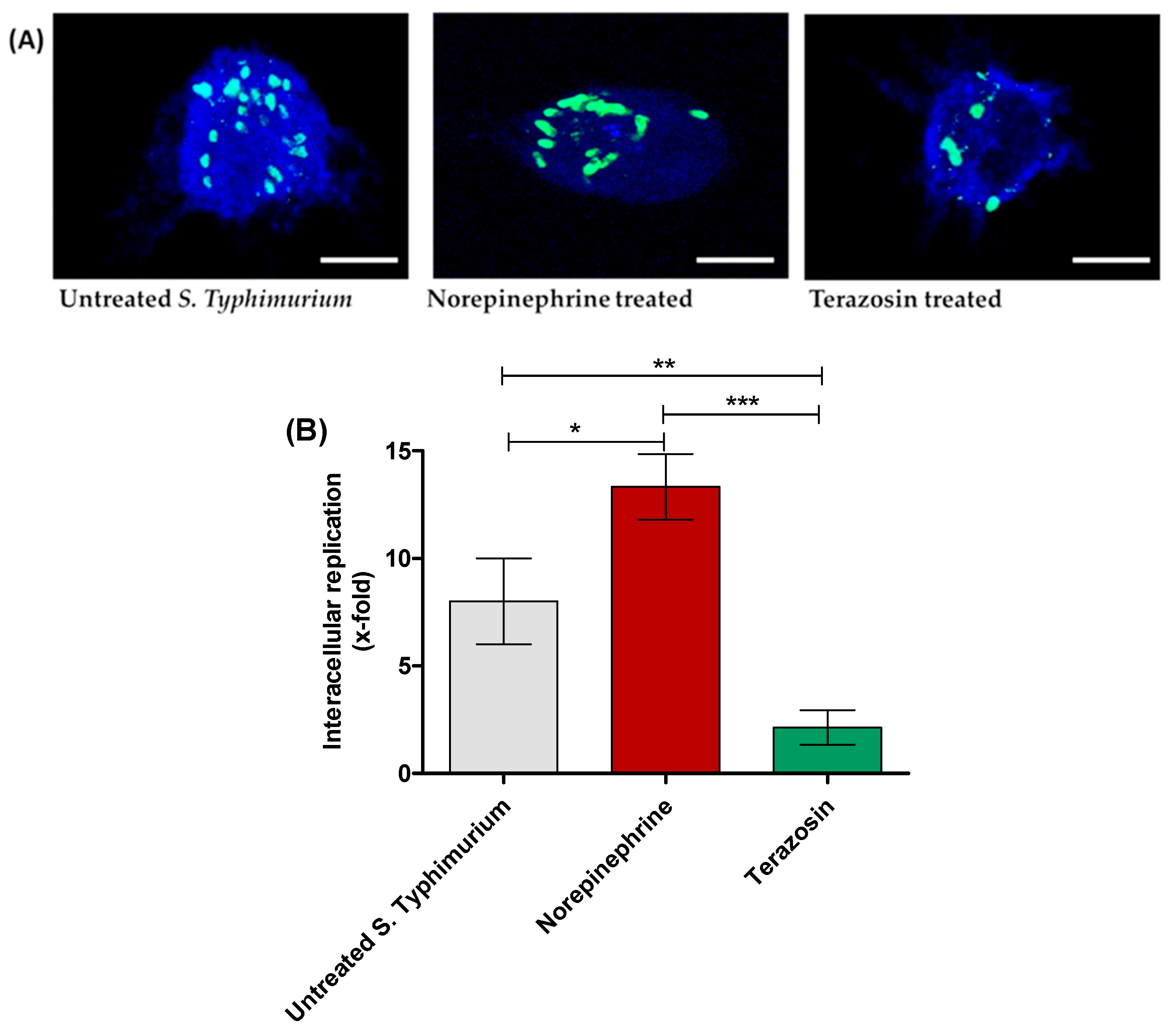Antibiotics 11 00465 g004