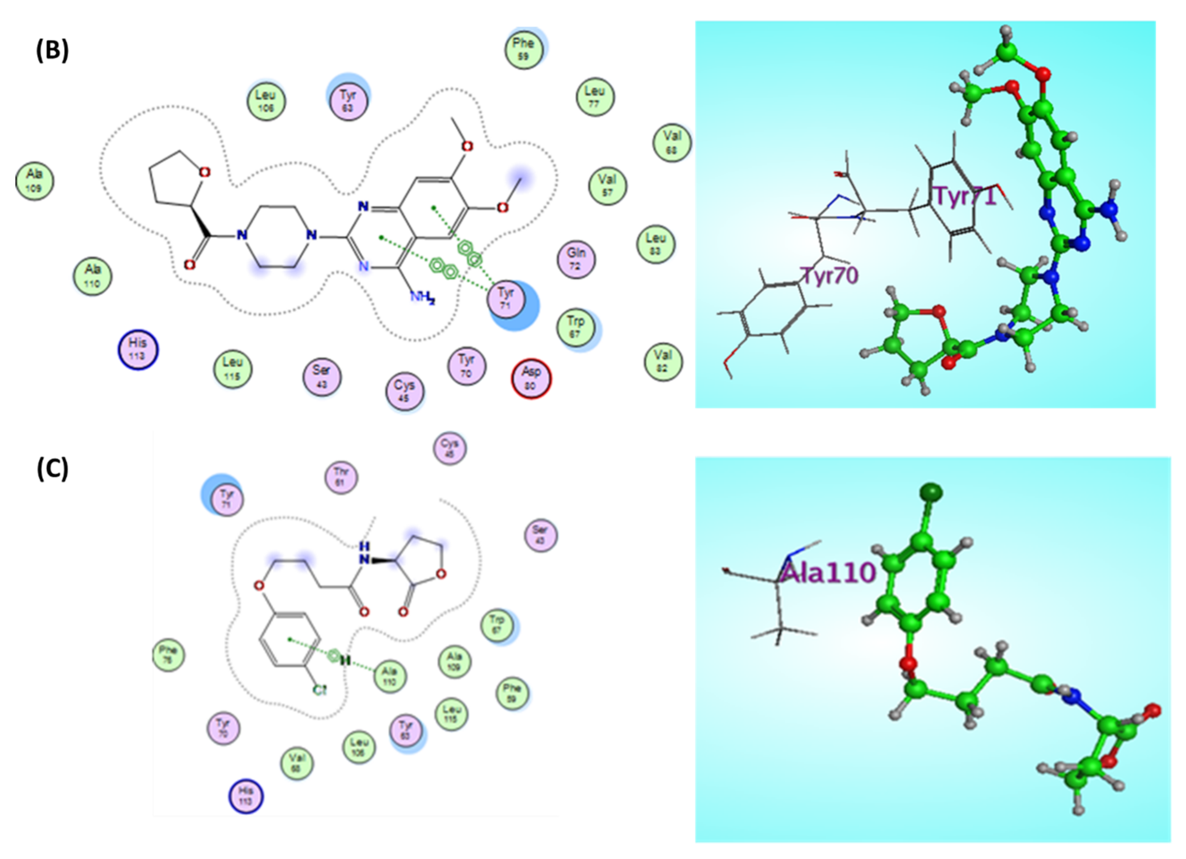 Antibiotics 11 00465 g007b