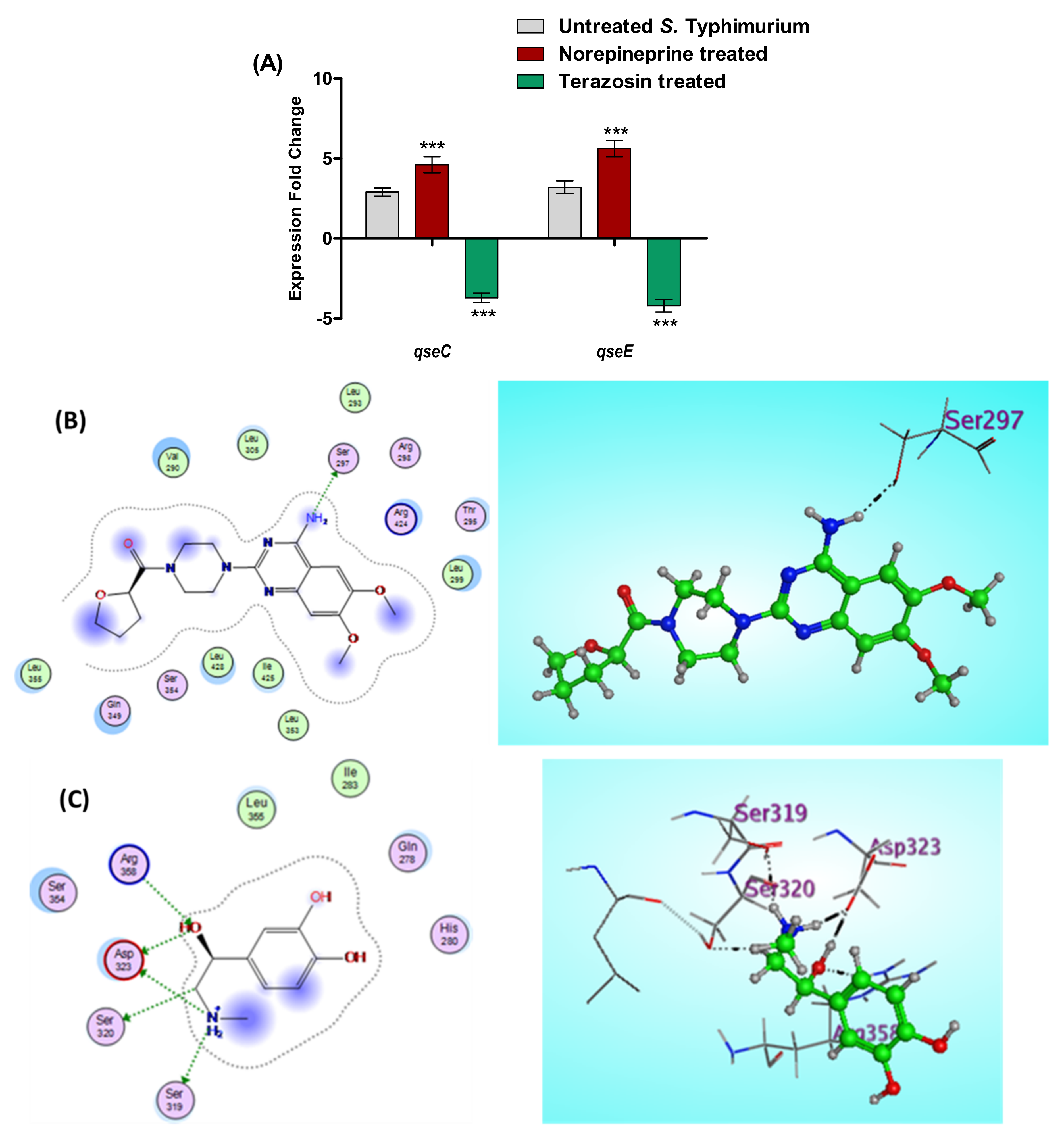 Antibiotics 11 00465 g008