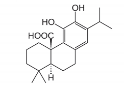 Antibiotics 11 00469 i019 Antibiotics 11 00469 i019