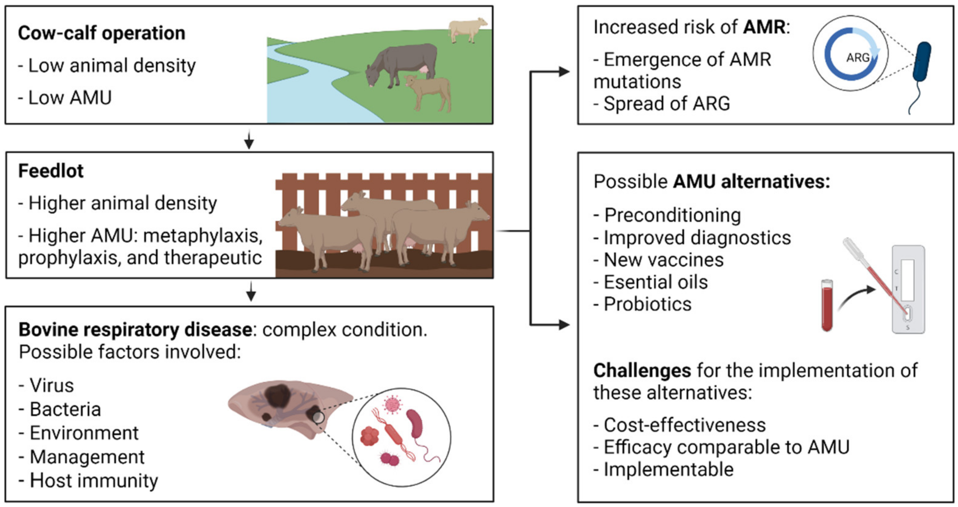 Antibiotics | Free Full-Text | Bovine Respiratory Disease: Conventional to  Culture-Independent Approaches to Studying Antimicrobial Resistance in  North America