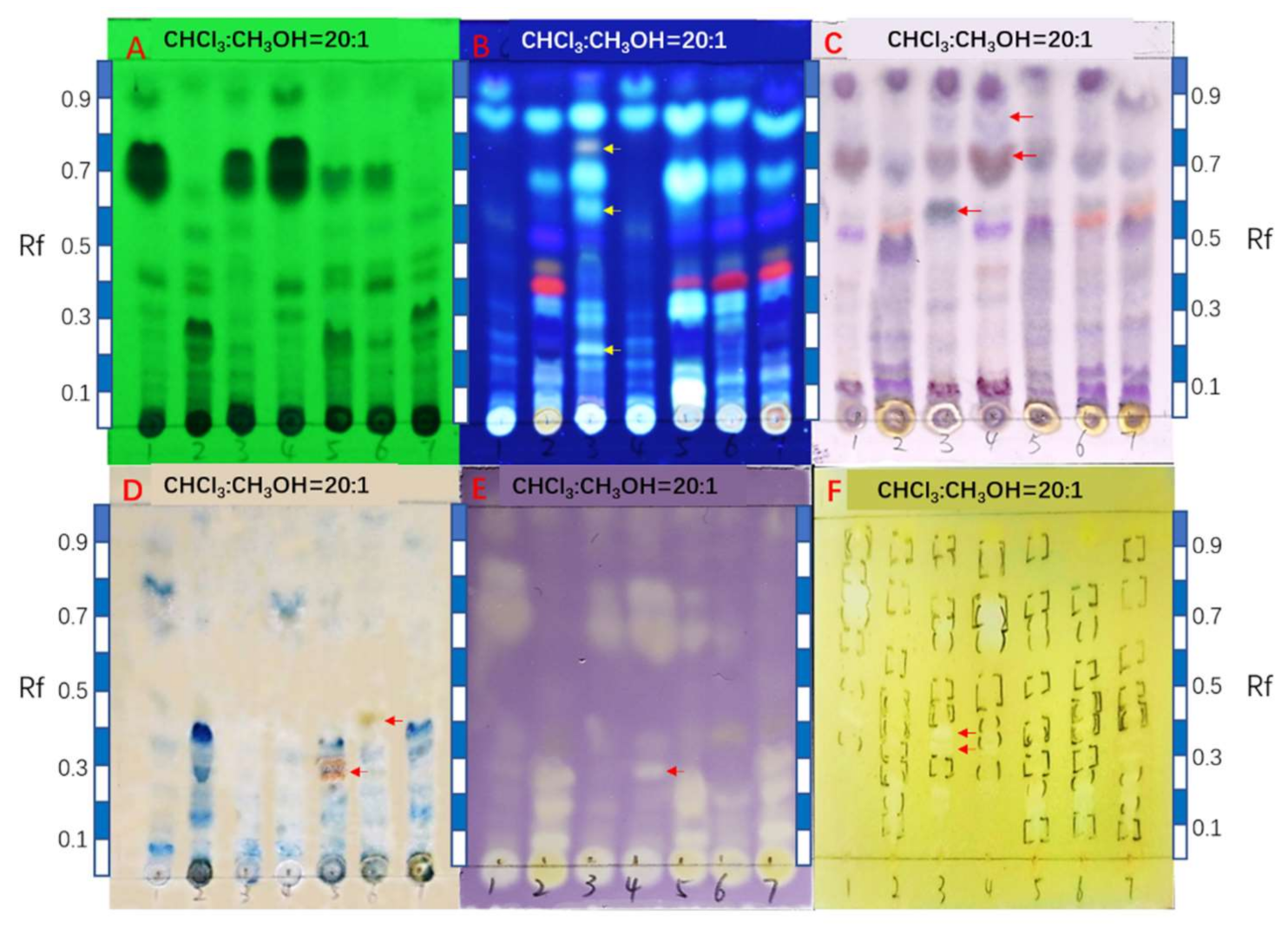 Antibiotics 11 00513 g002 Antibiotics 11 00513 g002