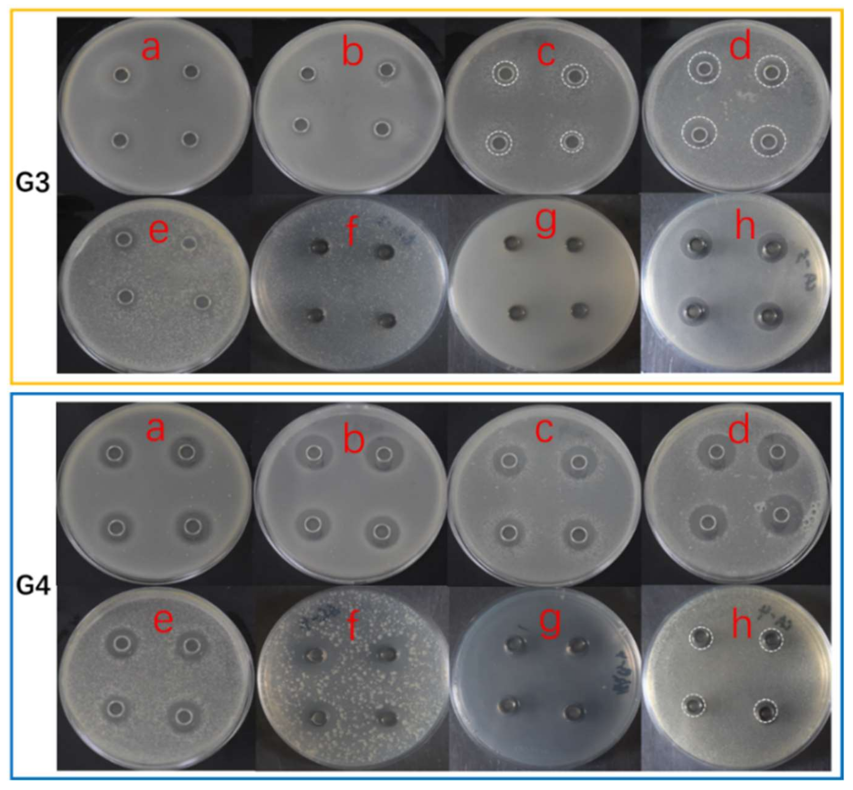 Antibiotics 11 00513 g003 Antibiotics 11 00513 g003