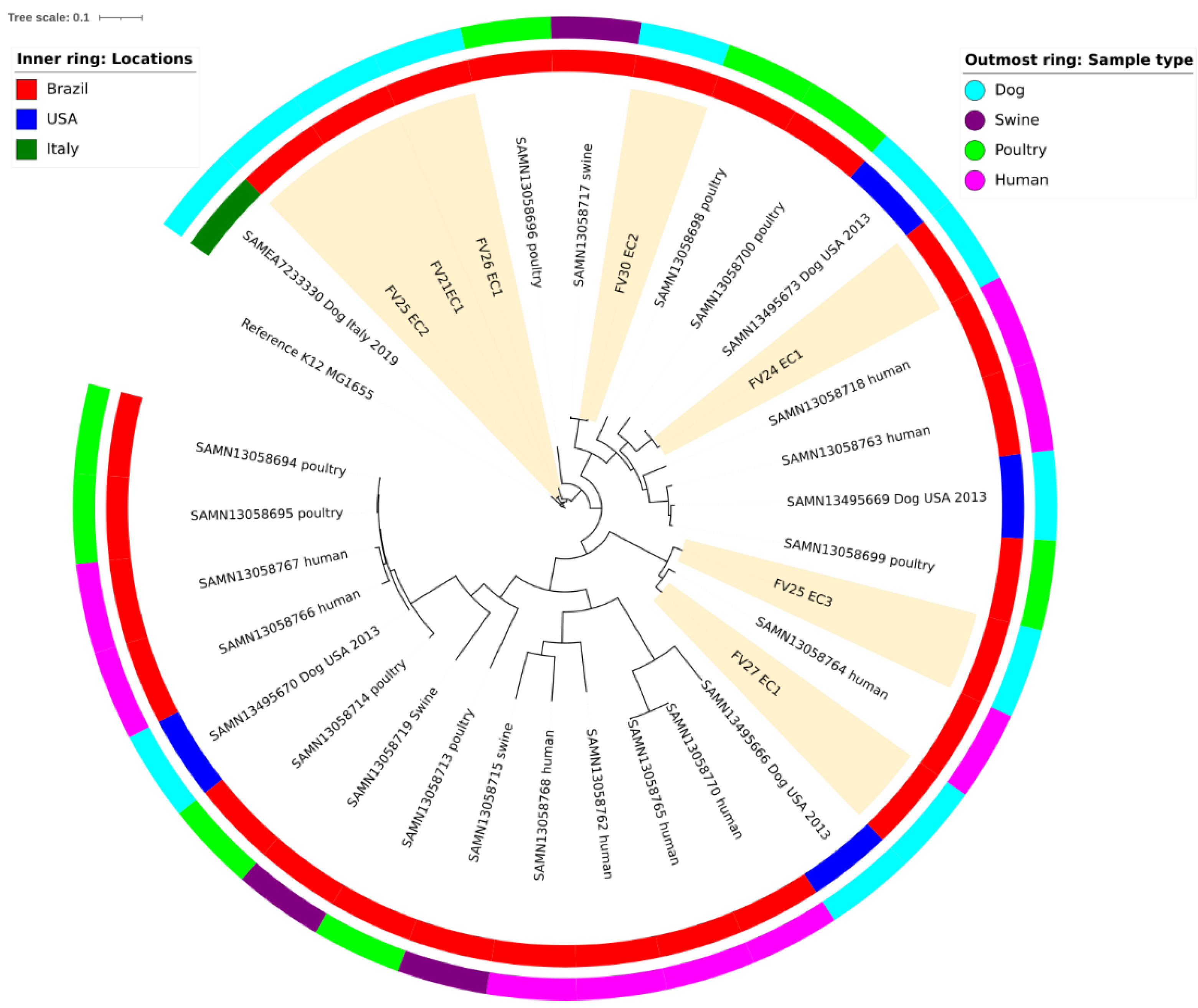 Antibiotics 11 00534 g003