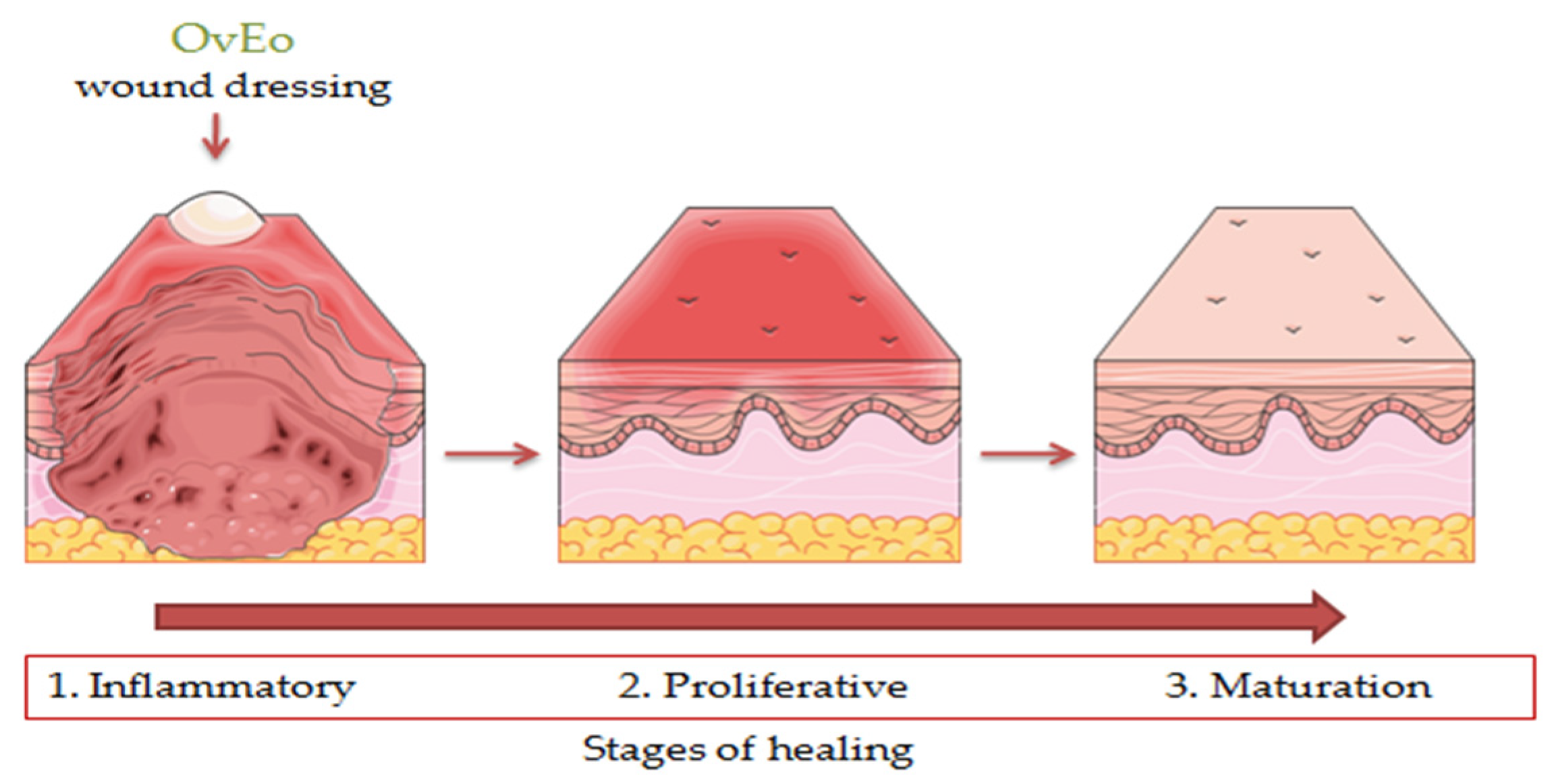 Antibiotics | Free Full-Text | An Up-To-Date Review Regarding Cutaneous ...