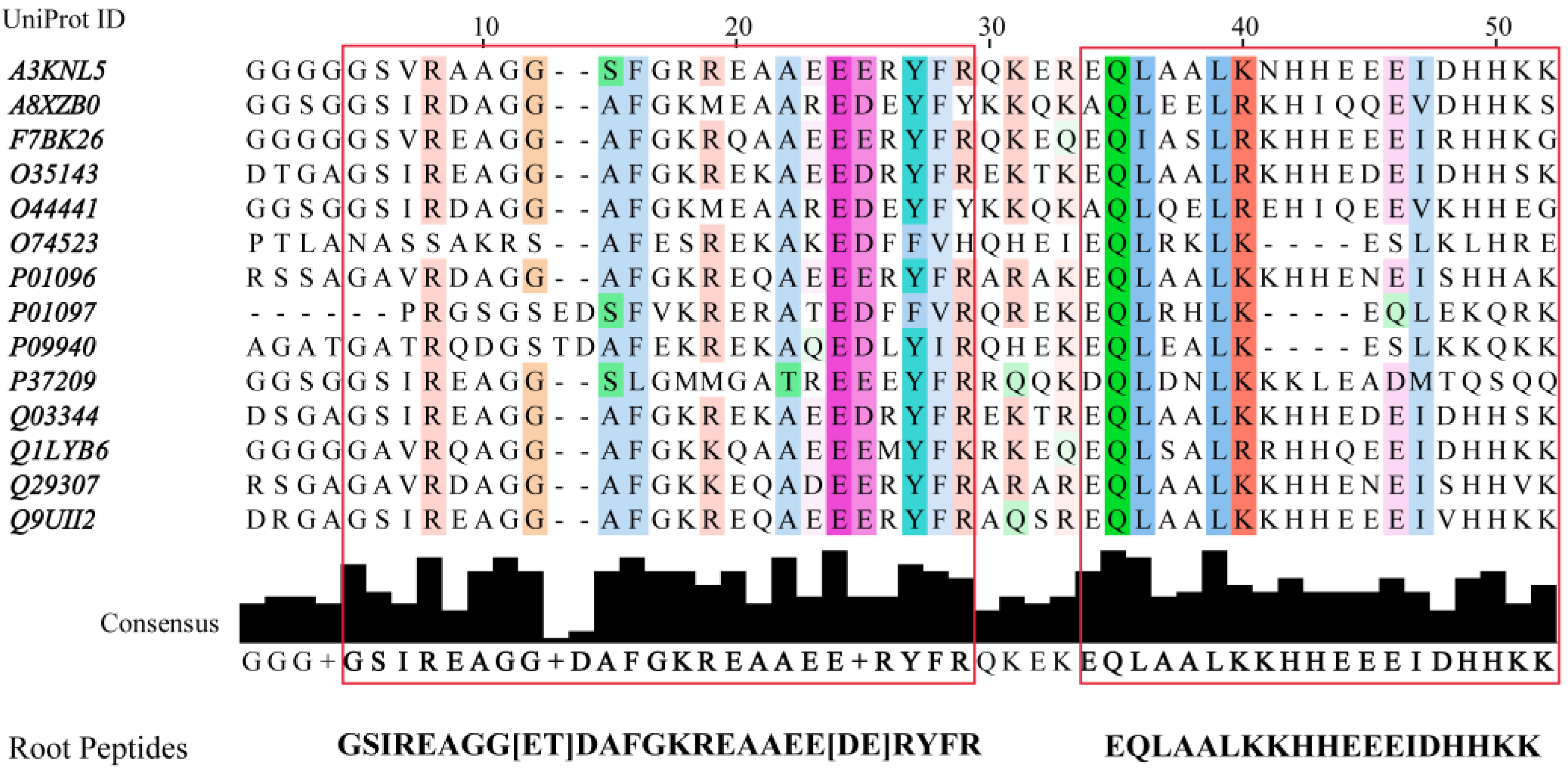 Antibiotics 11 00557 g004 Antibiotics 11 00557 g004