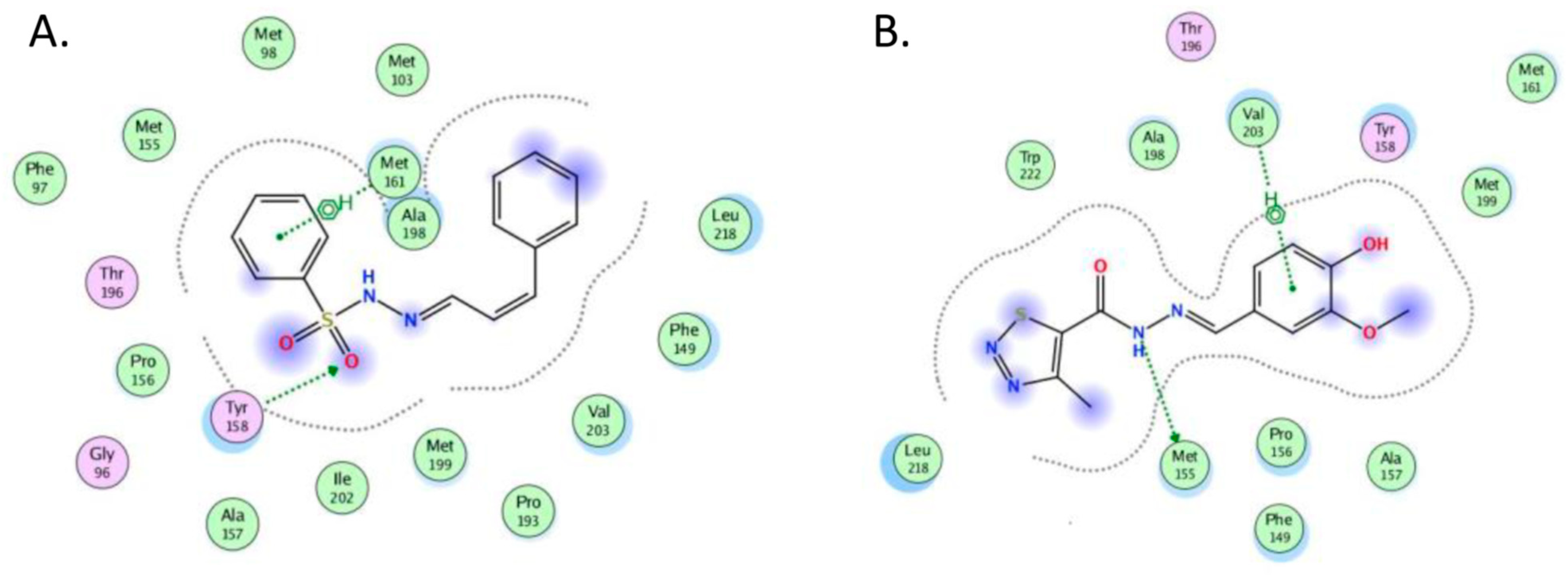 Antibiotics 11 00562 g003