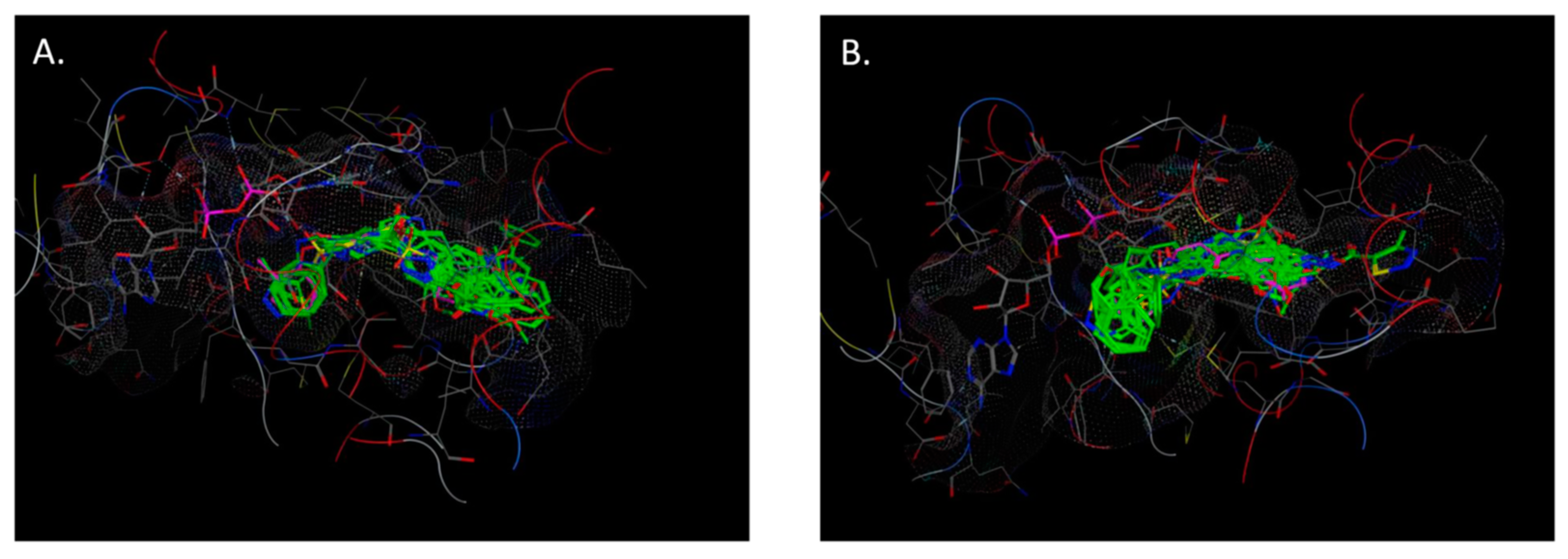Antibiotics 11 00562 g005