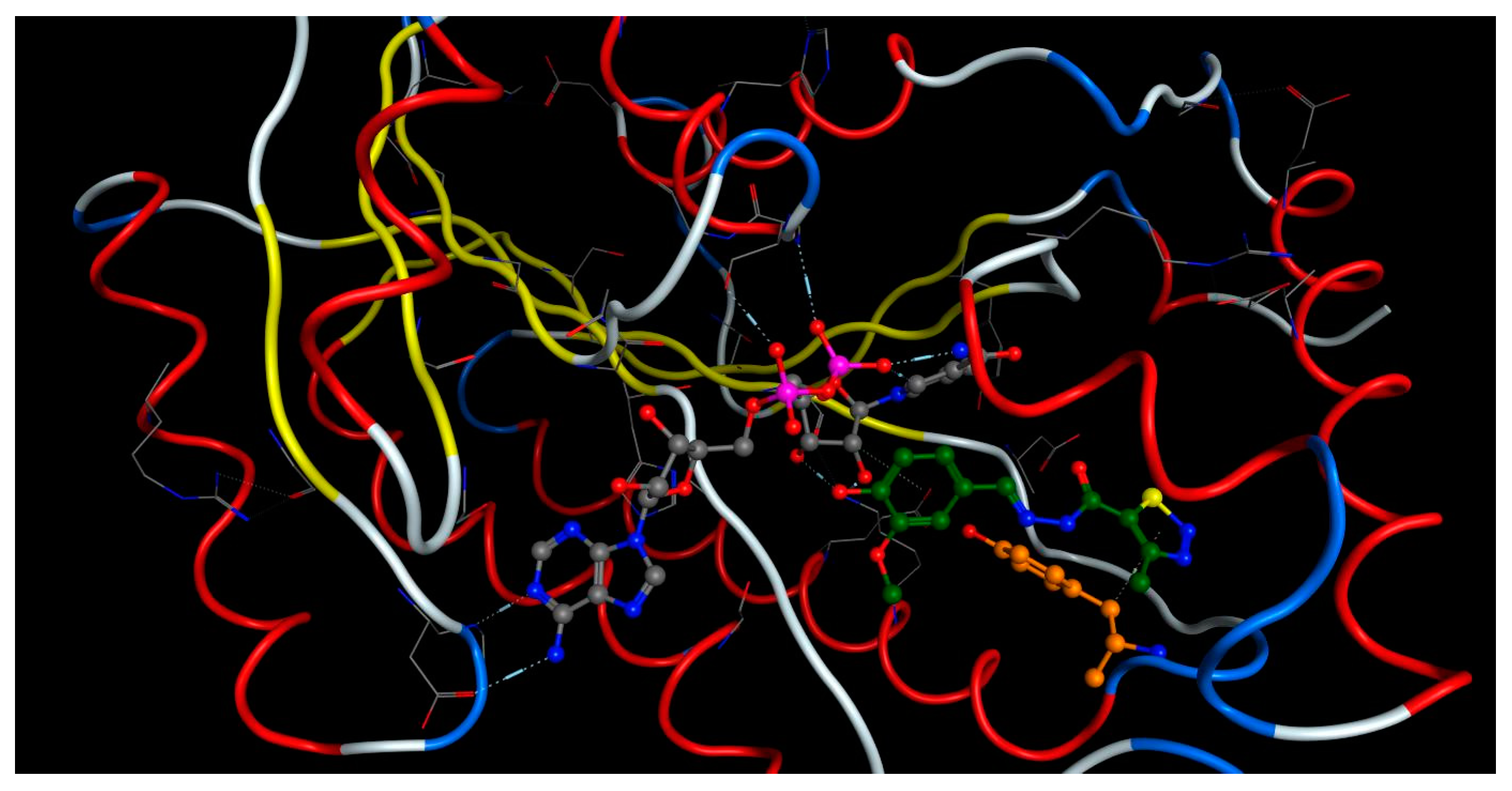 Antibiotics 11 00562 g006