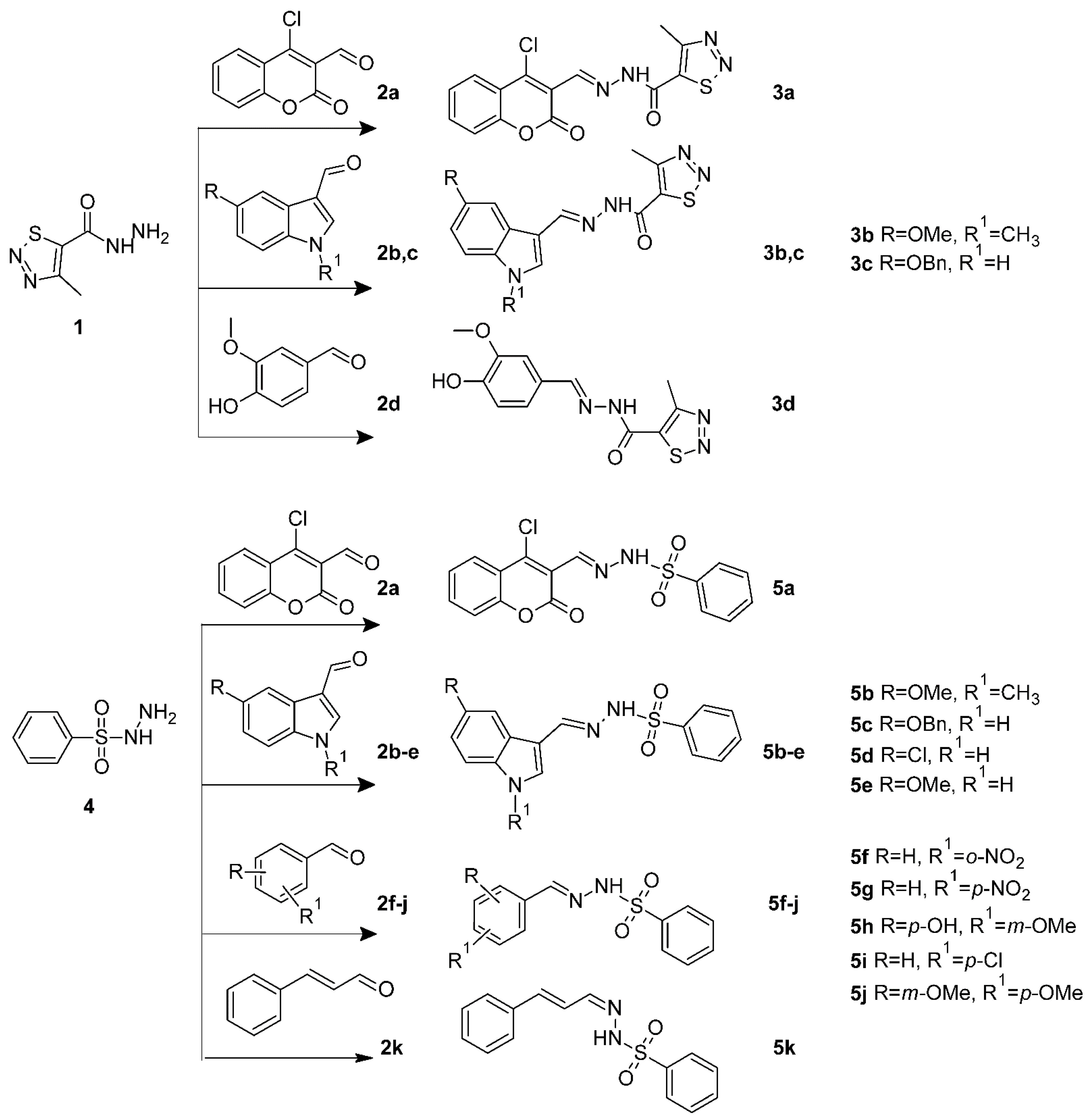 Antibiotics 11 00562 sch001