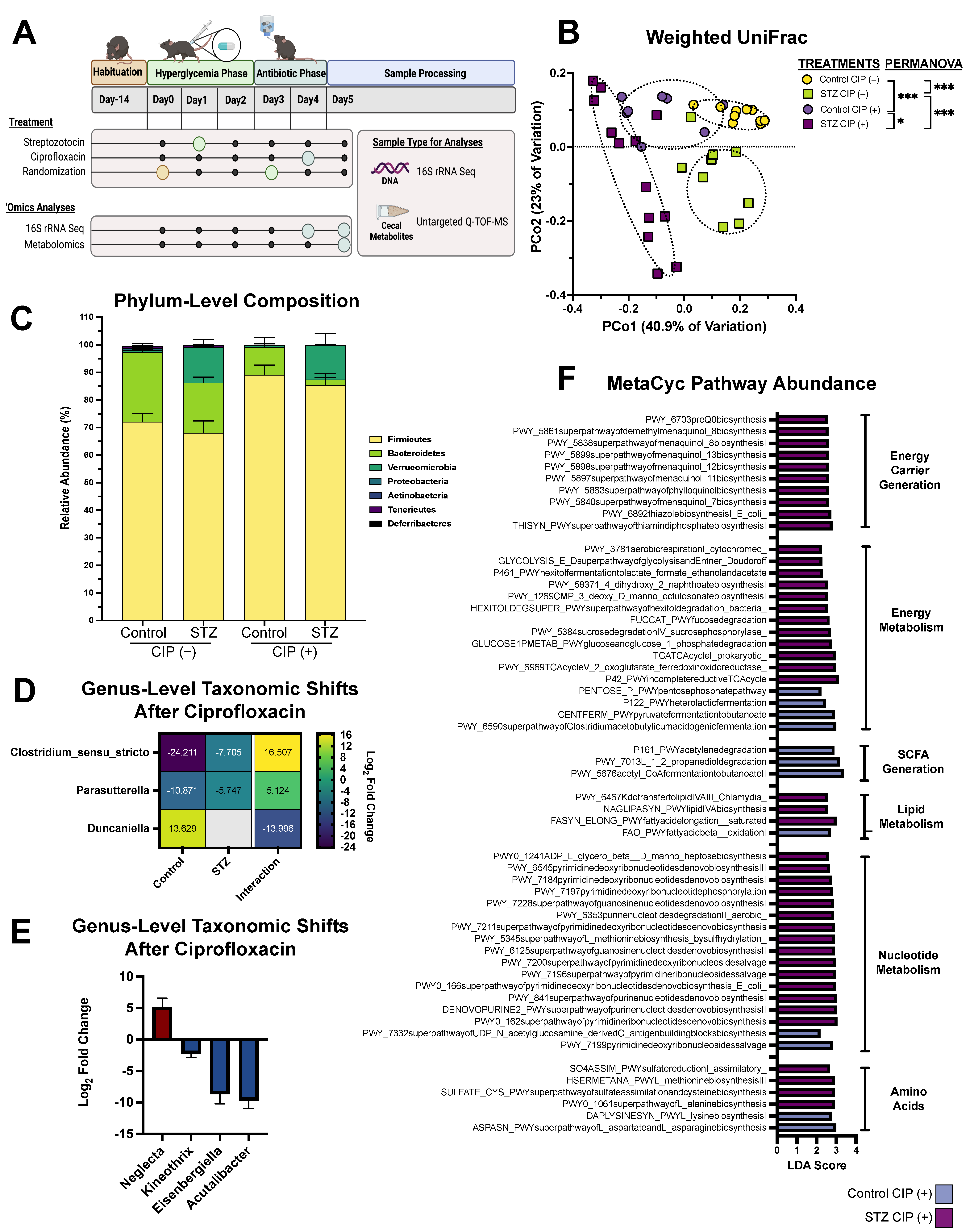 Antibiotics 11 00585 g001