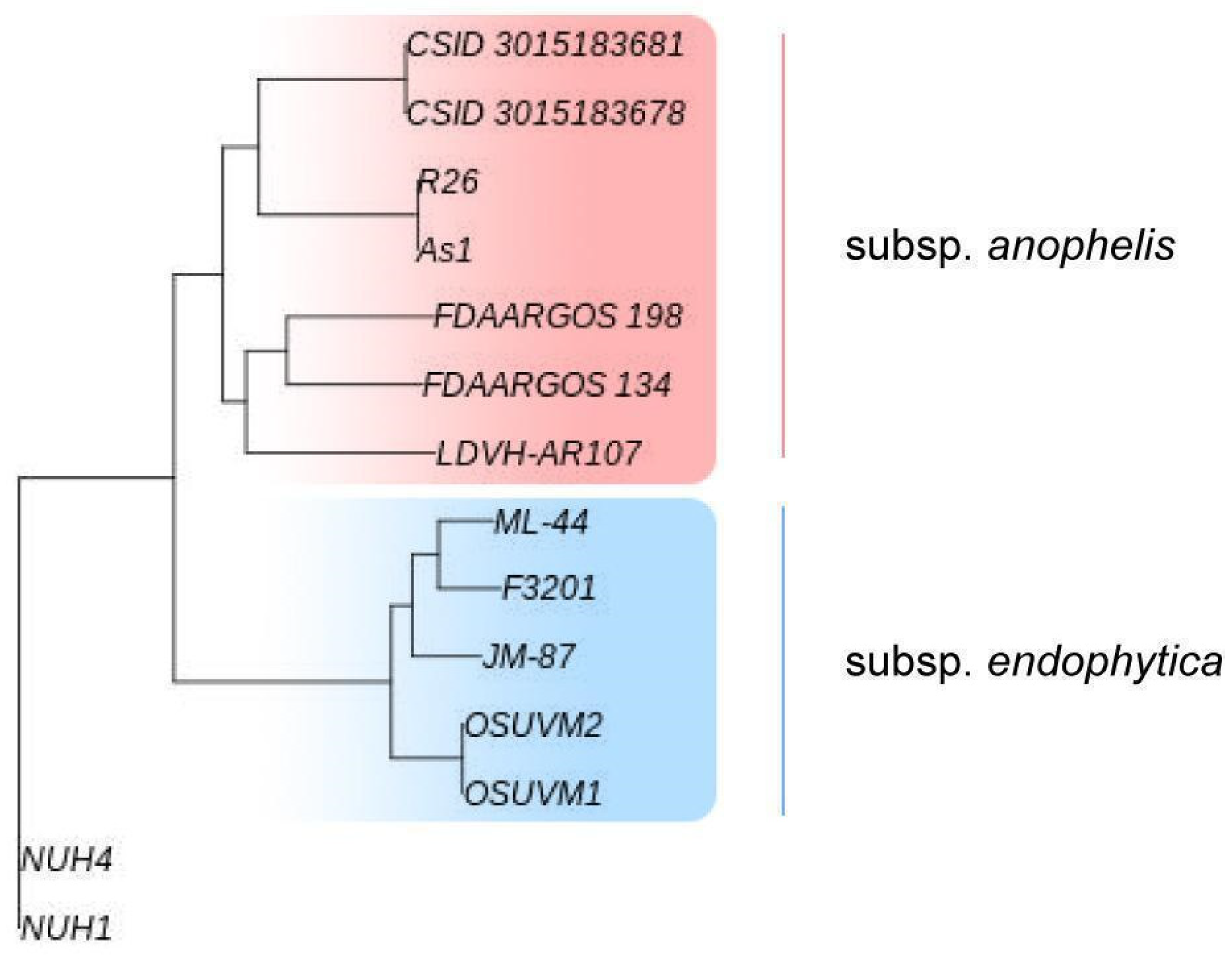 Antibiotics 11 00648 g002