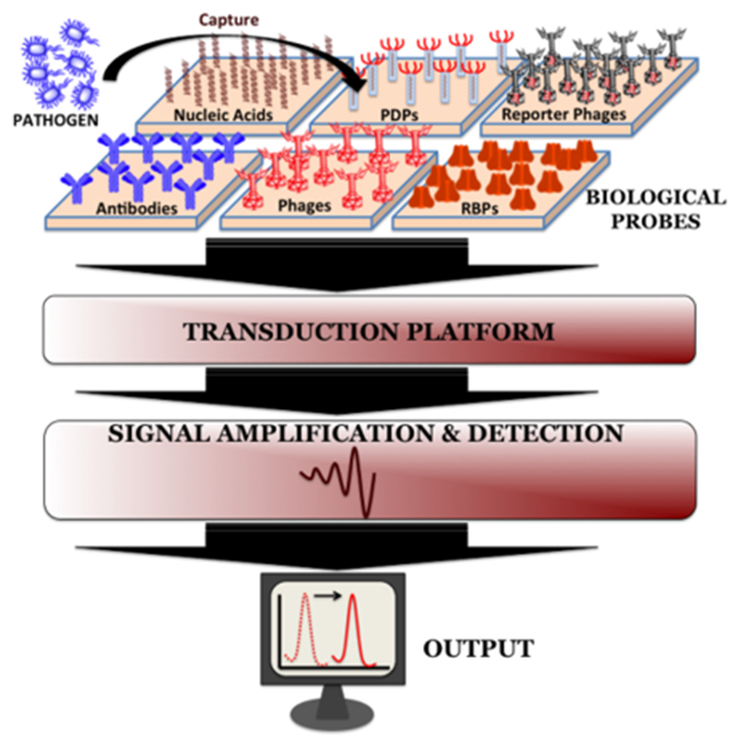 Платформа сигнал. Analysis Detection pathogen in food industry.