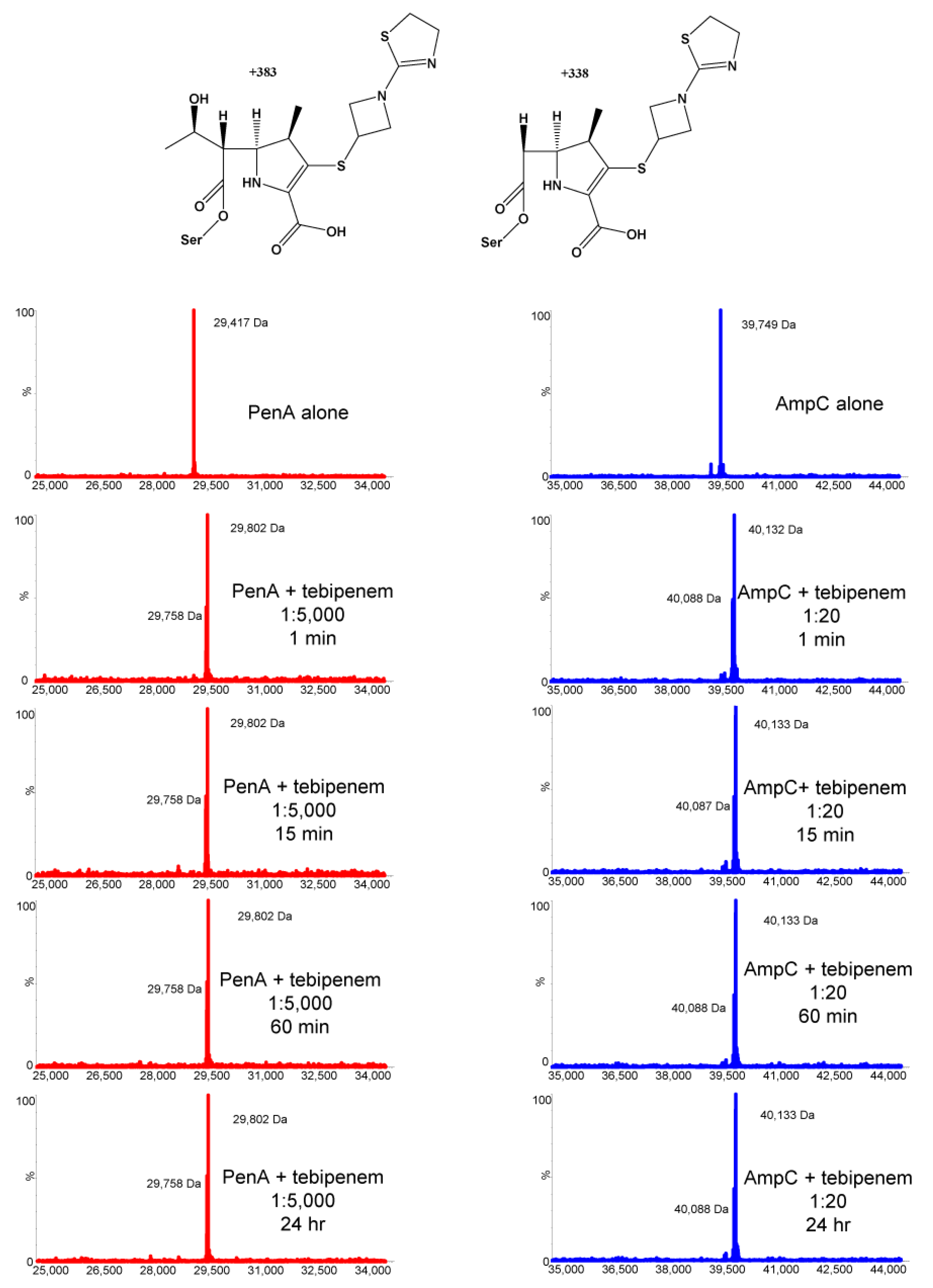 Antibiotics 11 00674 g003 Antibiotics 11 00674 g003