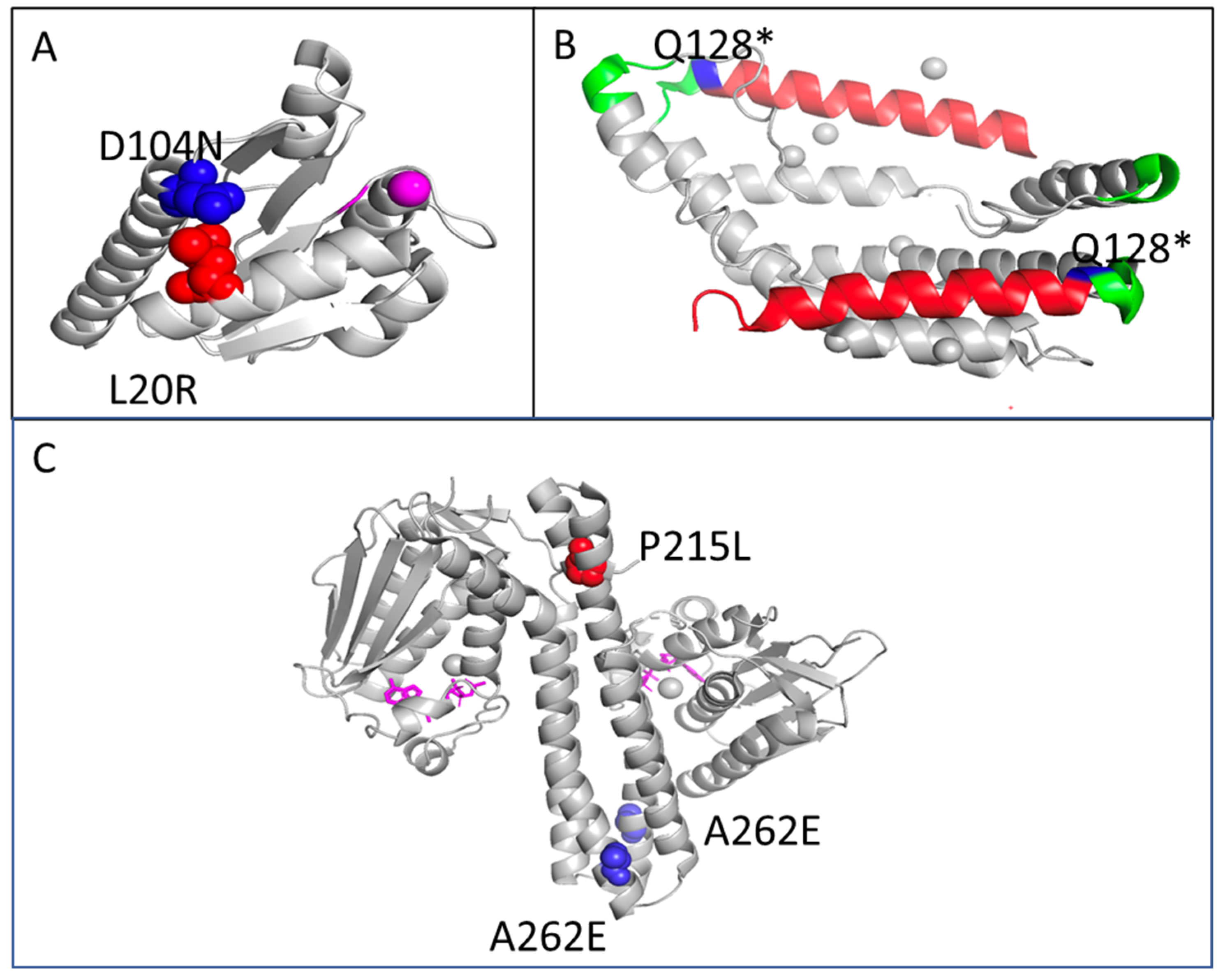 Antibiotics 11 00711 g006