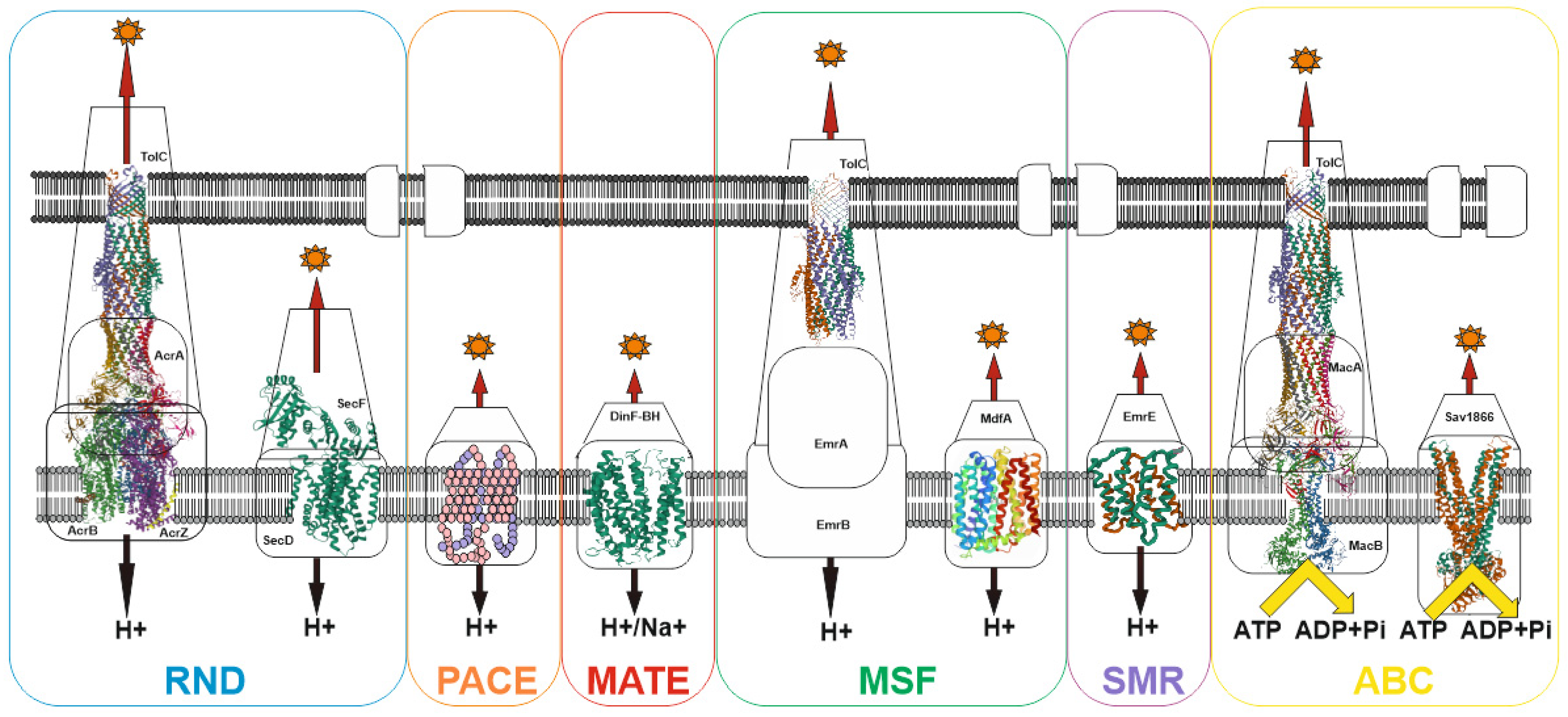 Antibiotics 11 00734 g002