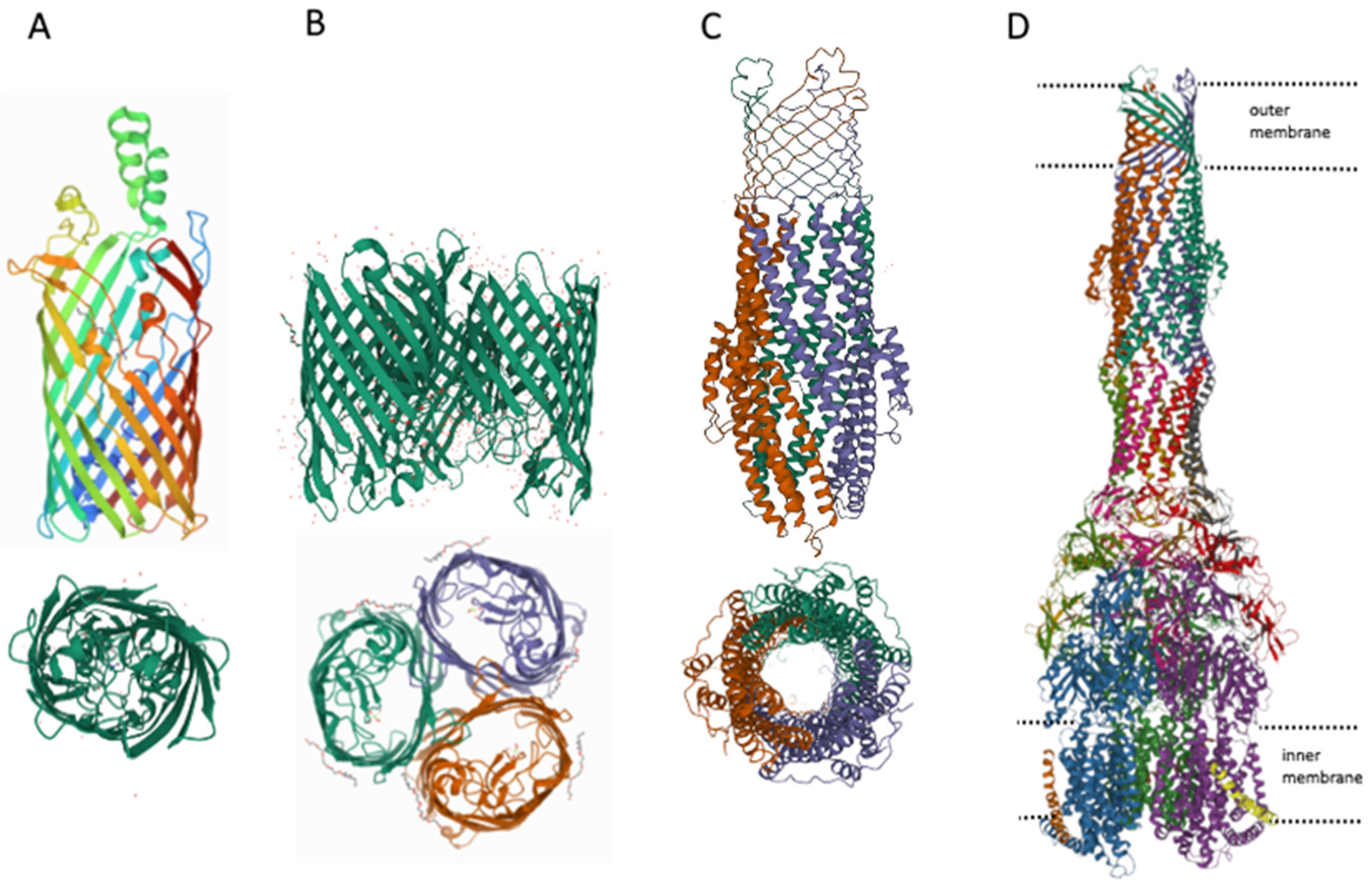 Antibiotics 11 00734 g003