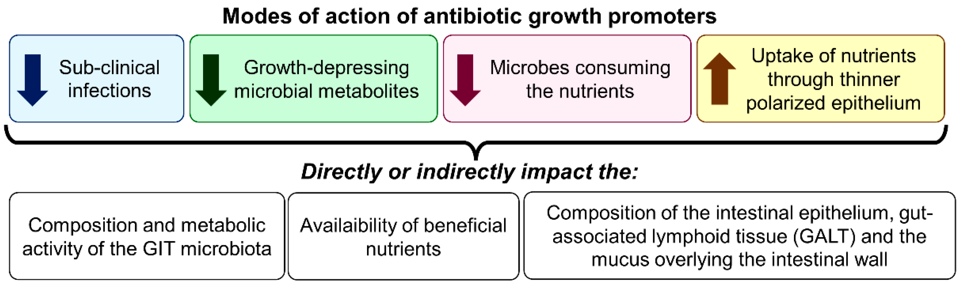 Antibiotics 11 00766 g002 Antibiotics 11 00766 g002