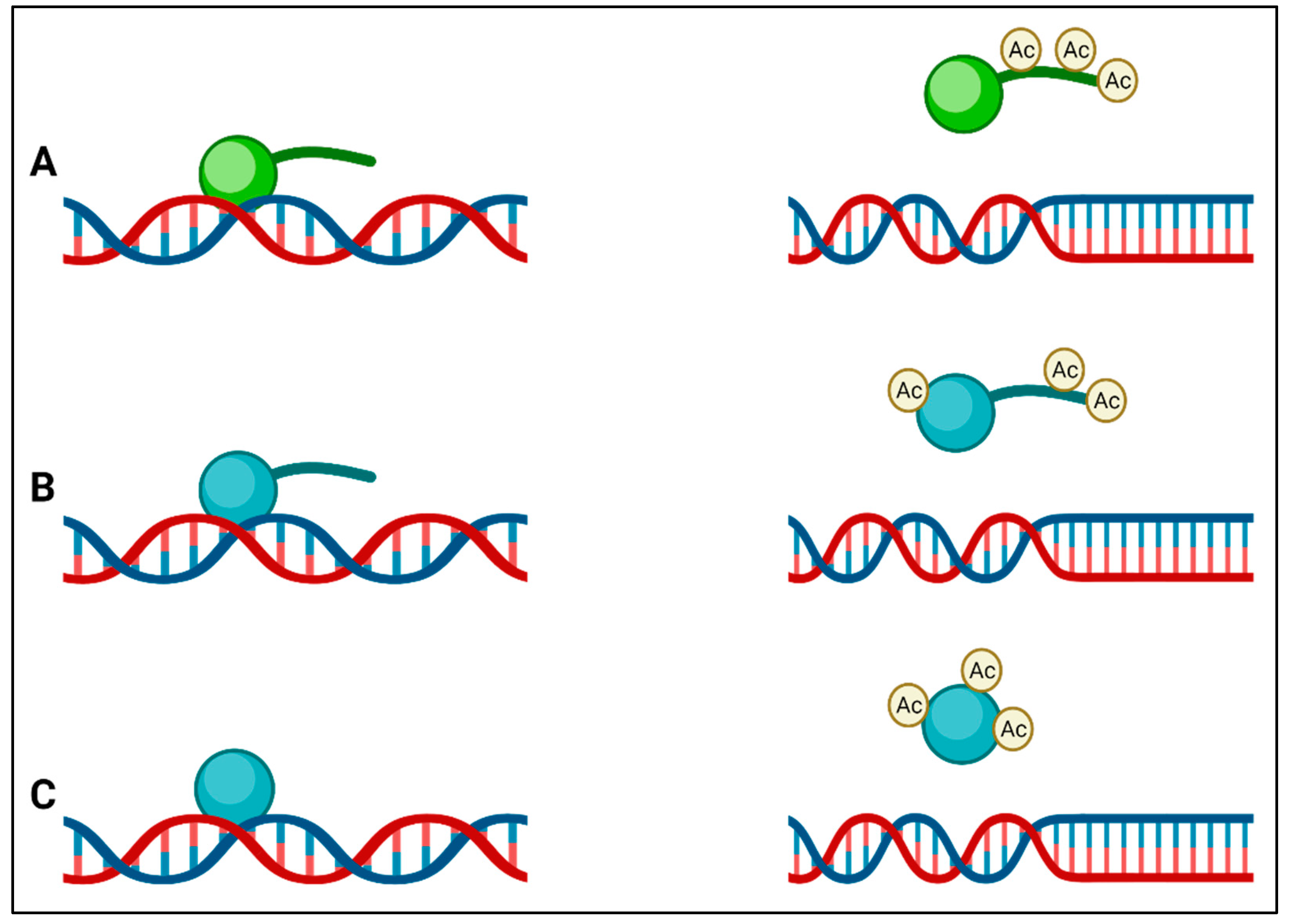 Antibiotics 11 00809 g002