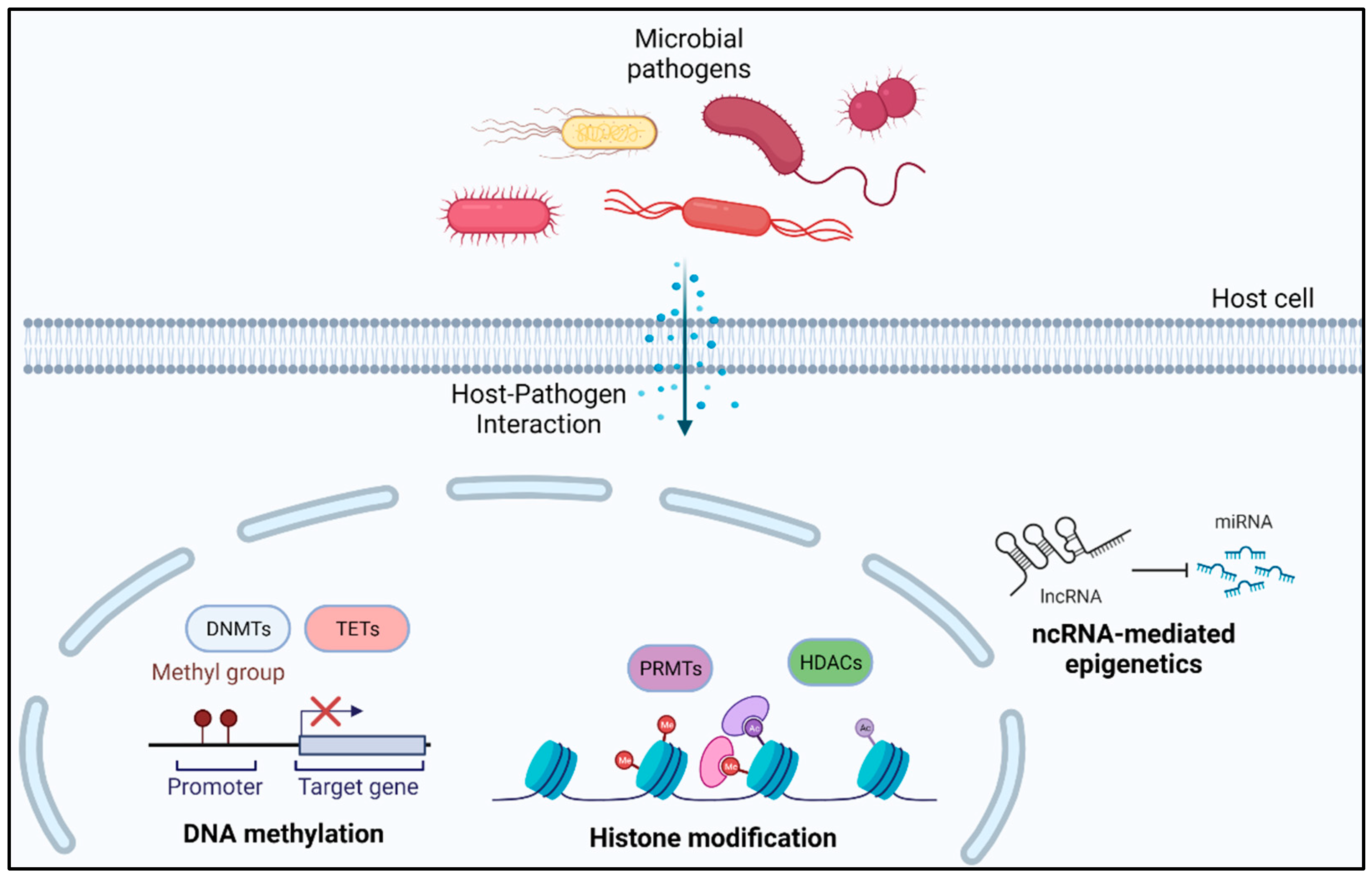 Antibiotics 11 00809 g003