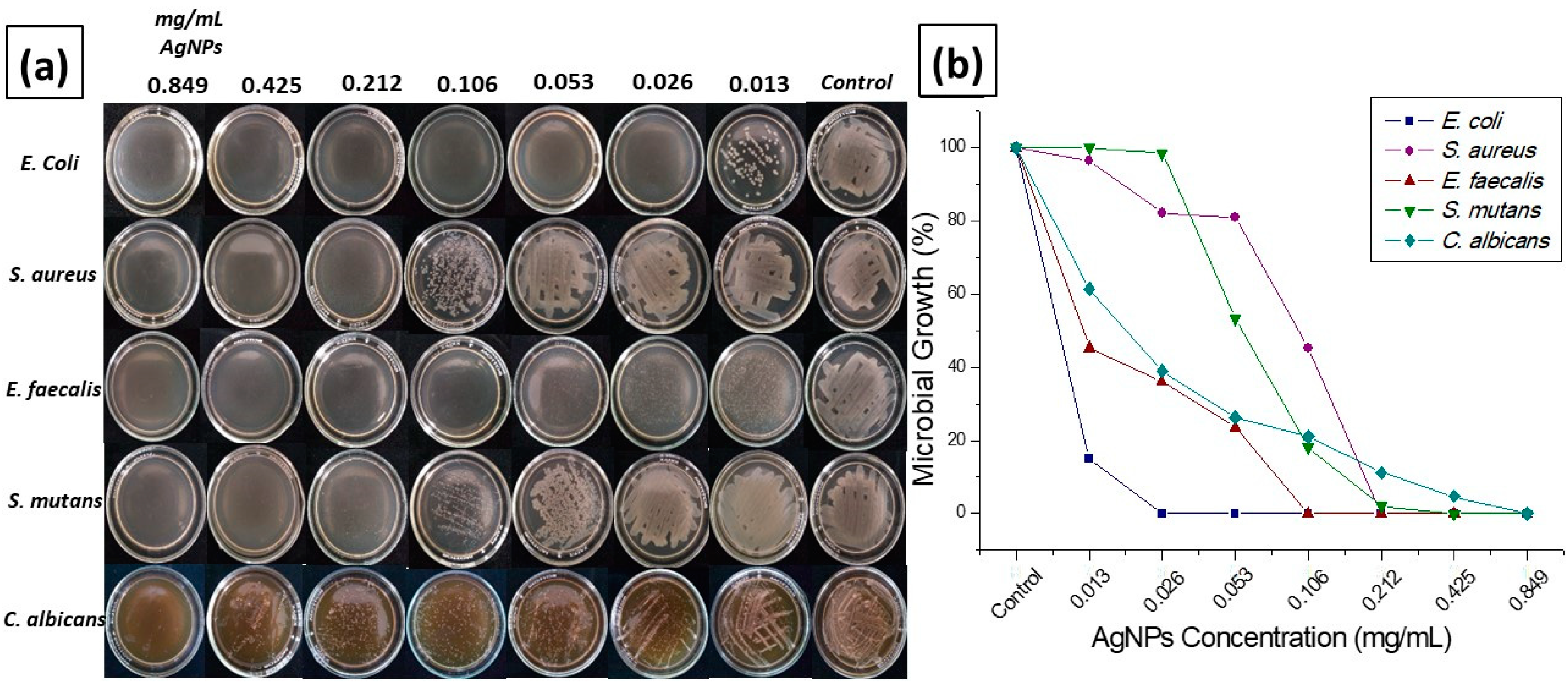 Antibiotics 11 00834 g005