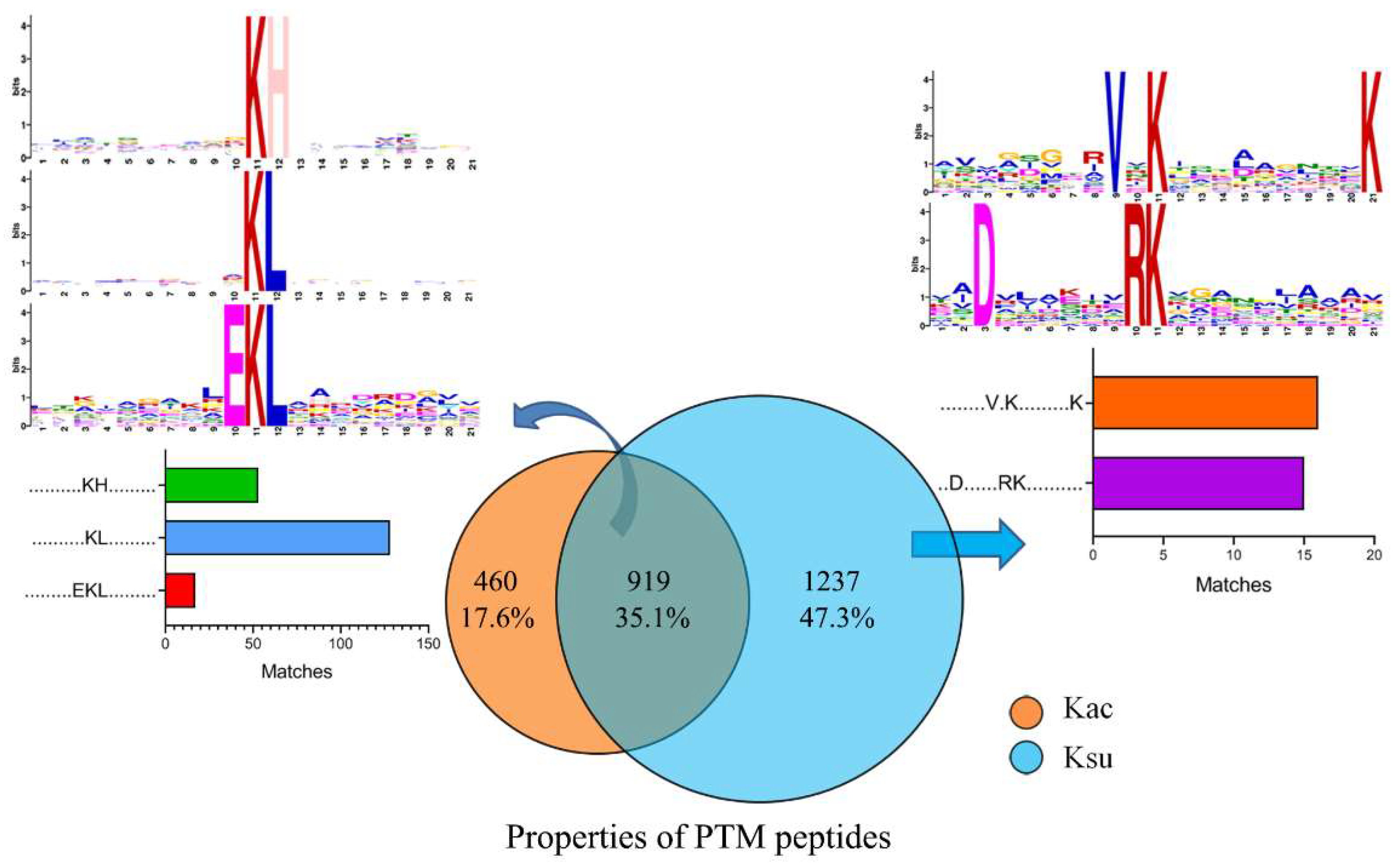 Antibiotics 11 00841 g002