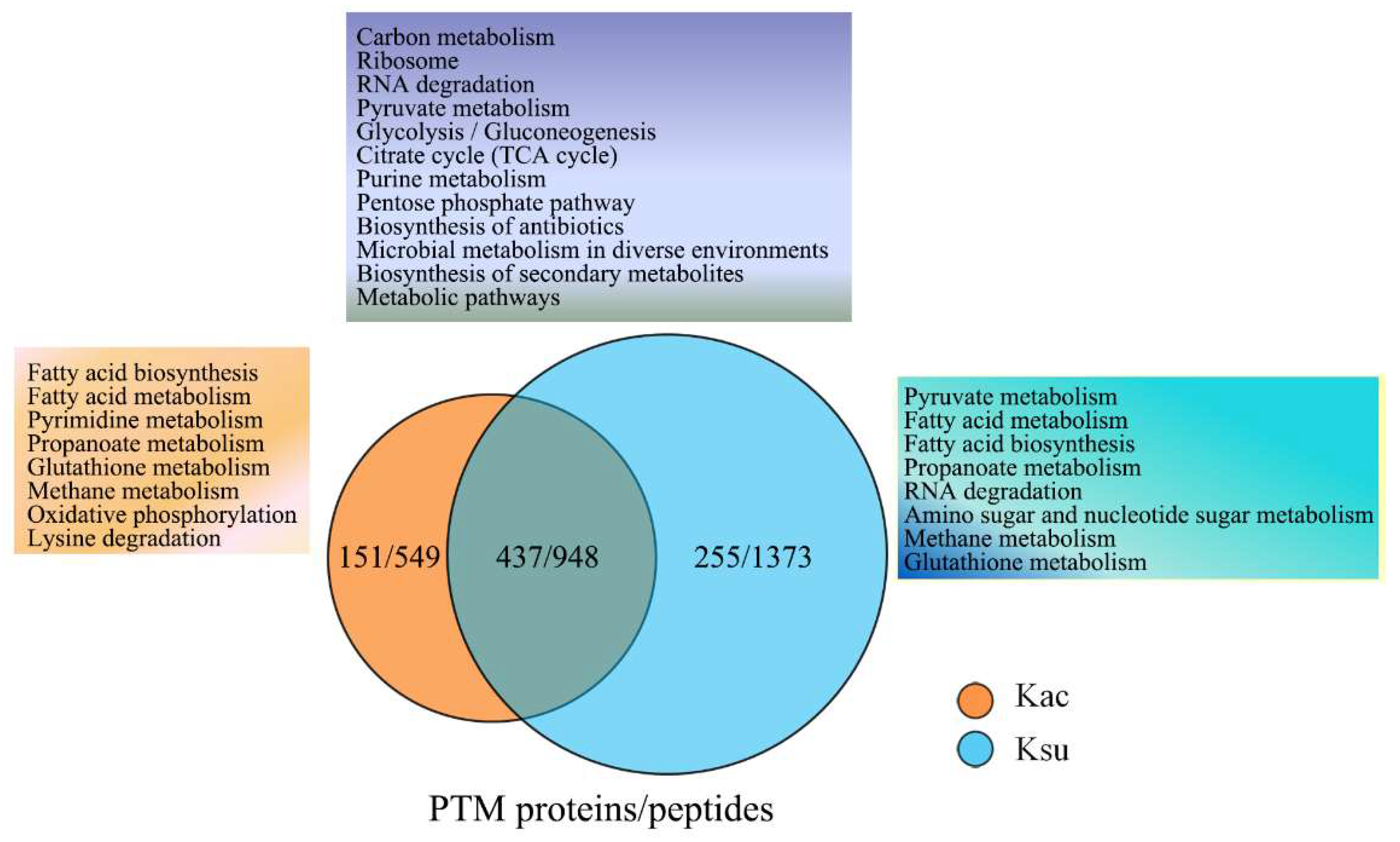 Antibiotics 11 00841 g004