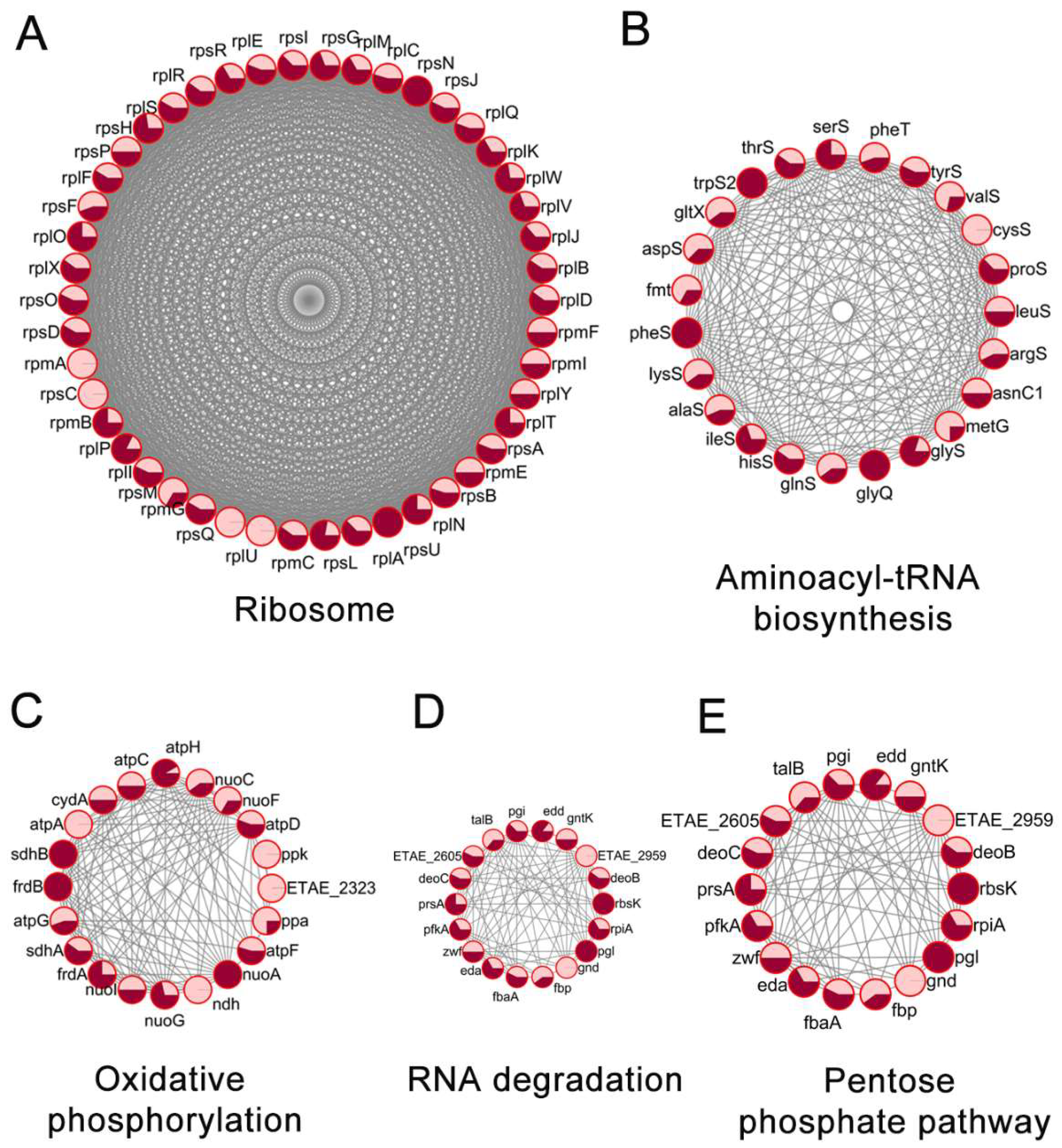 Antibiotics 11 00841 g005