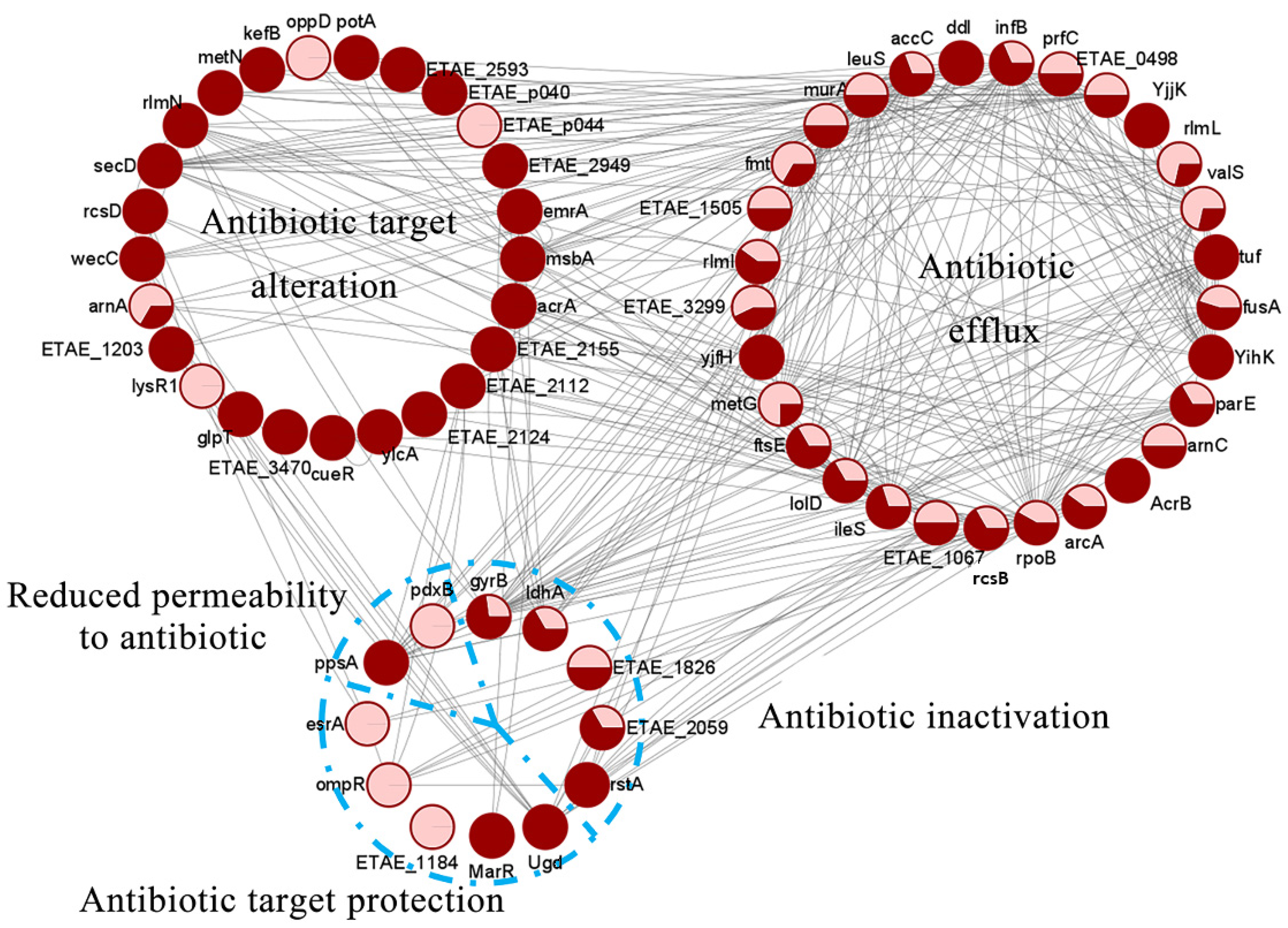 Antibiotics 11 00841 g006