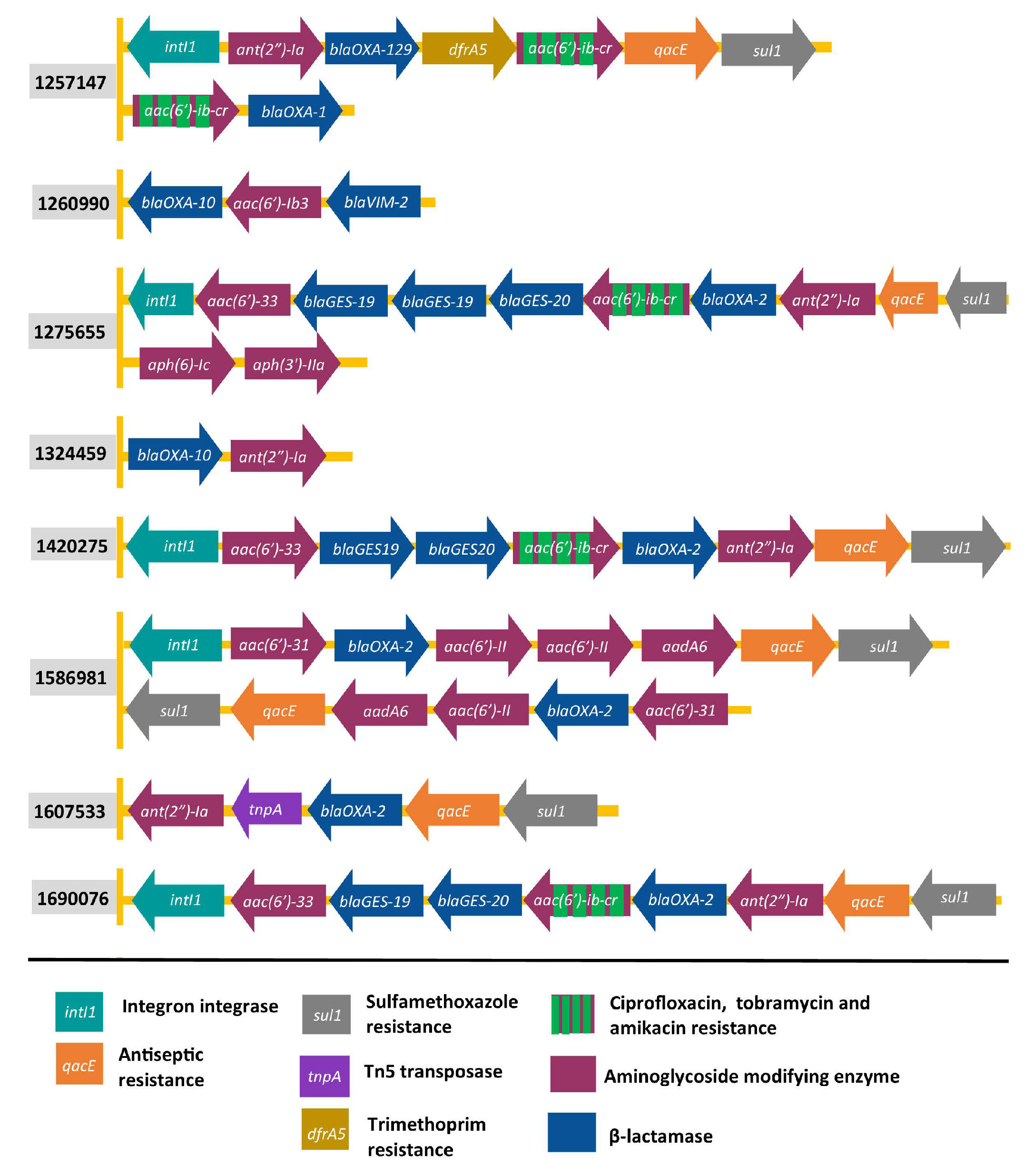 Antibiotics 11 00884 g002 Antibiotics 11 00884 g002