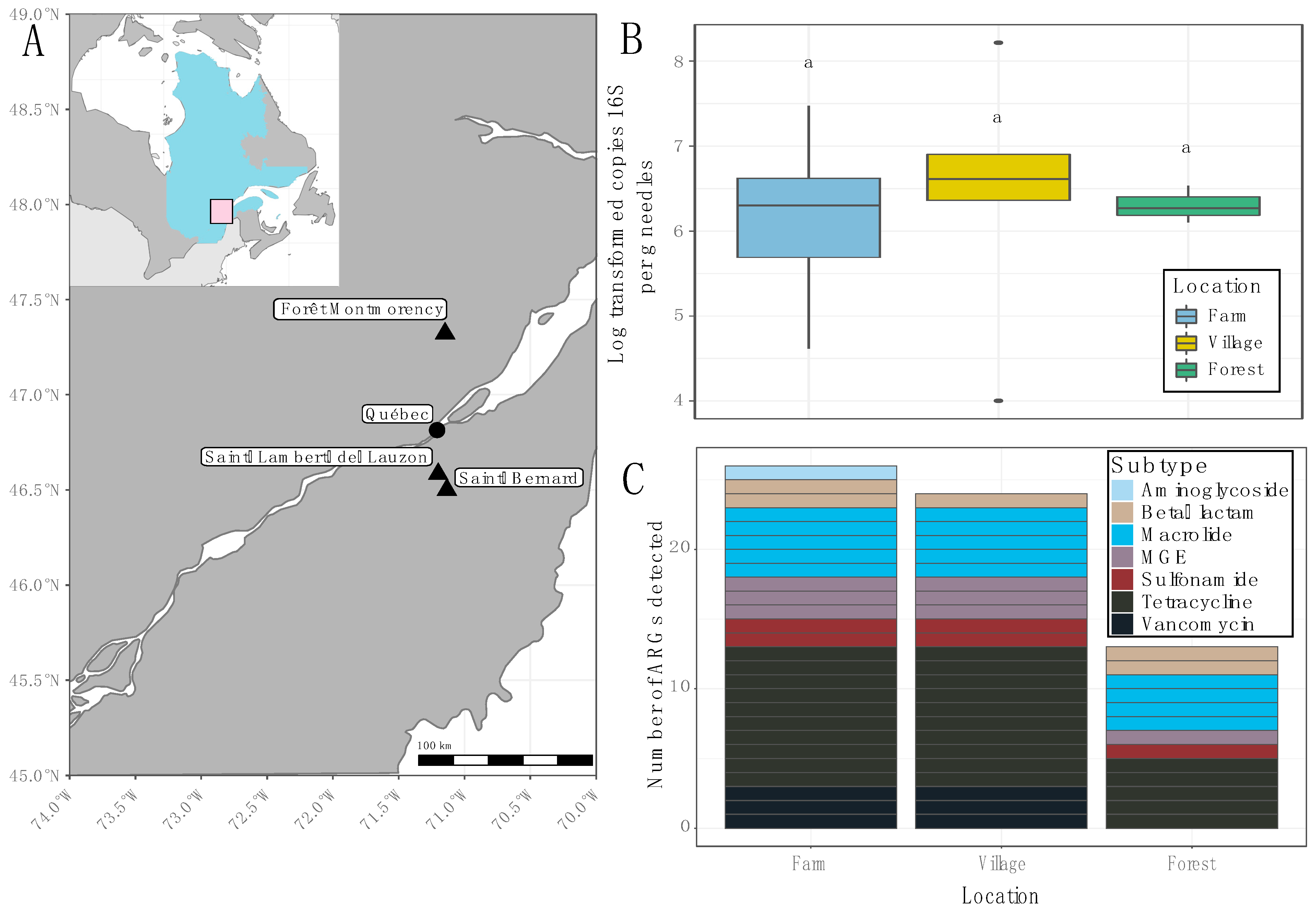 Antibiotics 11 00907 g001