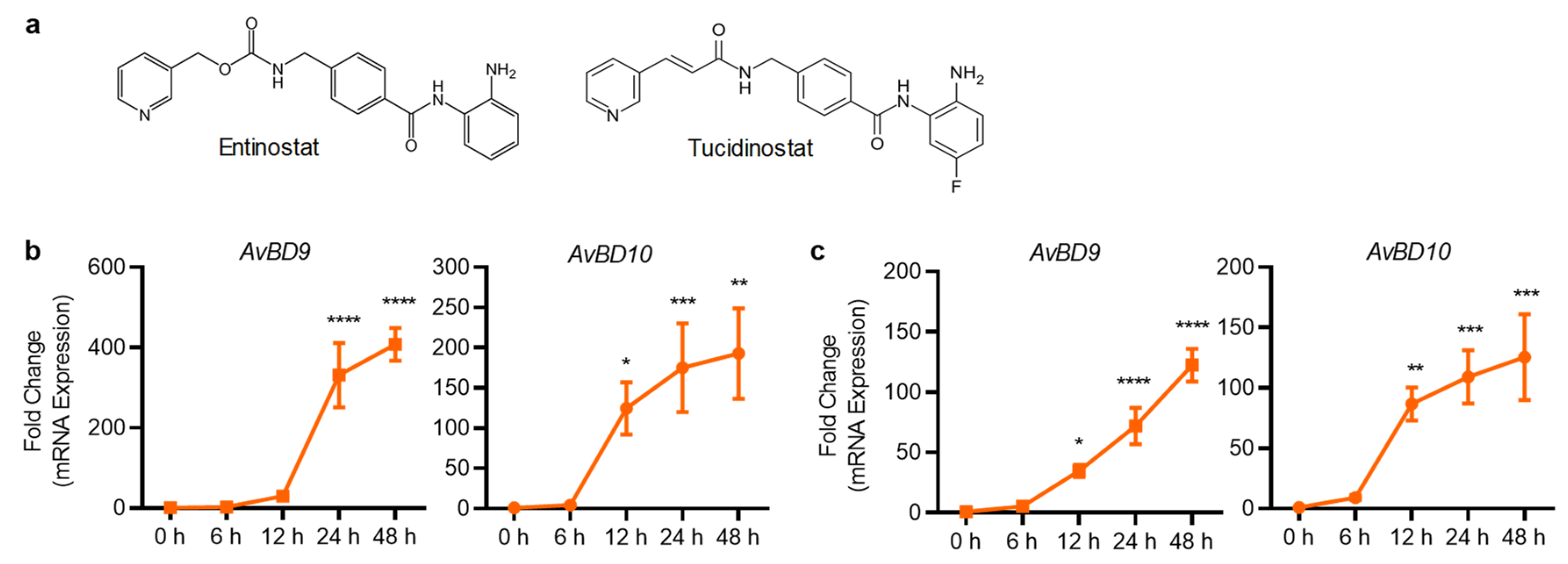 Antibiotics 11 00933 g006