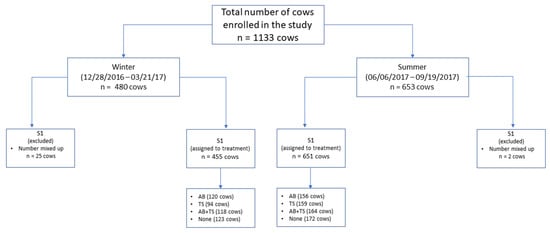 Benefits of using an internal teat sealant in dry cow management