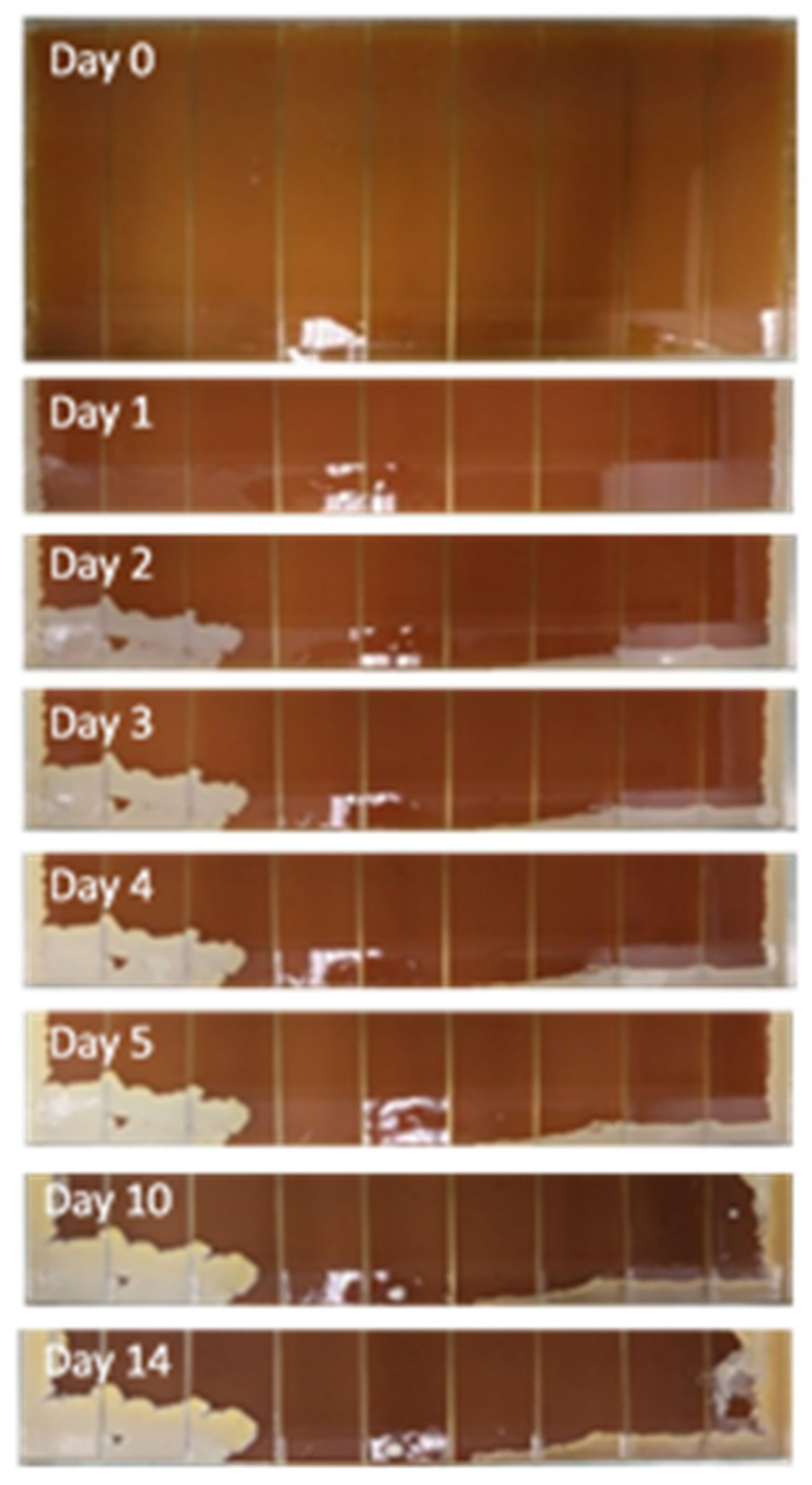 Antibiotics 11 00972 g006 Antibiotics 11 00972 g006