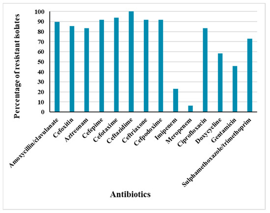 Empiric - antibiotic card game on X: When you hear the e coli is pan  susceptible  / X