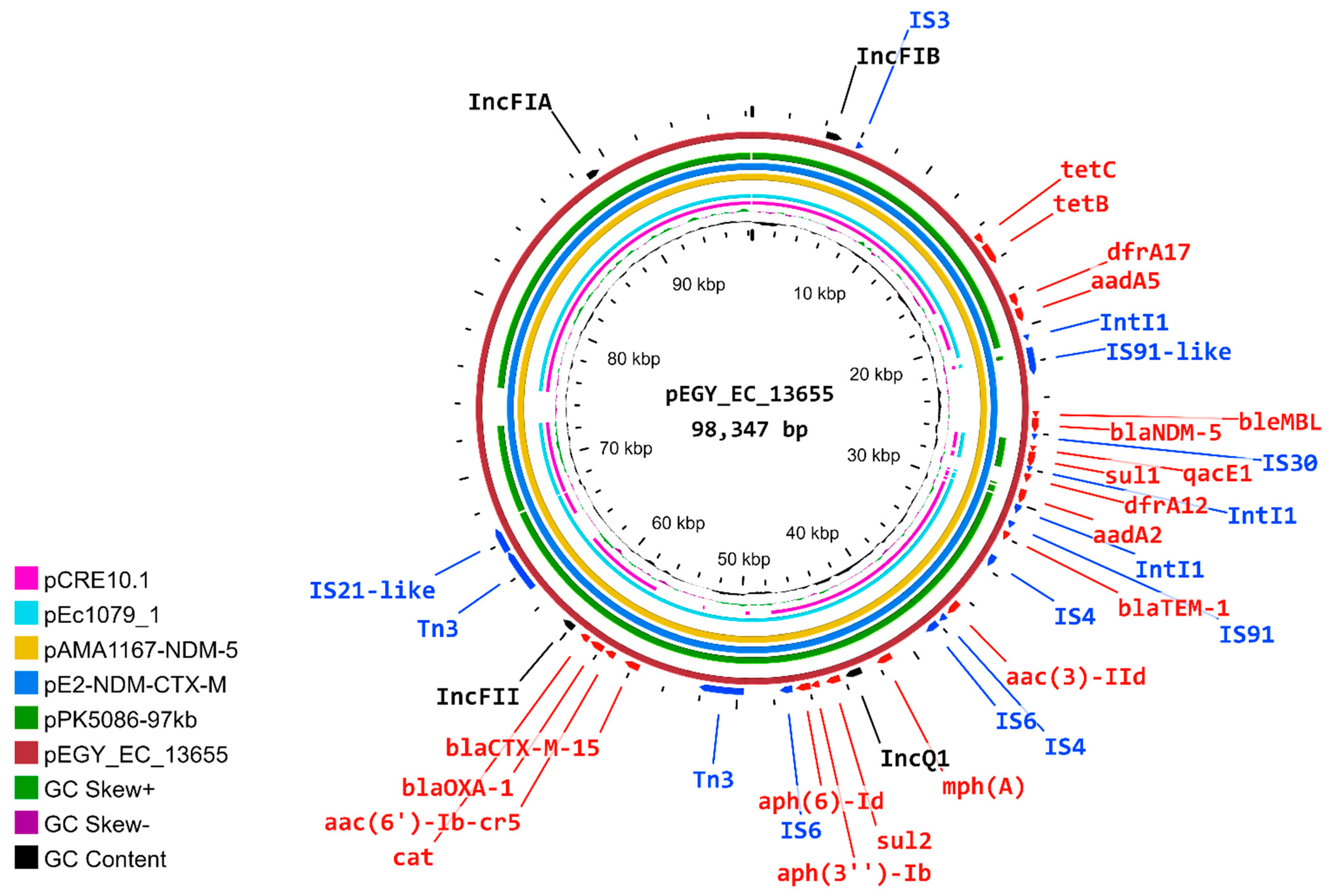 Antibiotics | Free Full-Text | Genomic Characterization of International  High-Risk Clone ST410 Escherichia coli Co-Harboring ESBL-Encoding Genes and  blaNDM-5 on IncFIA/IncFIB/IncFII/IncQ1 Multireplicon Plasmid and Carrying a  Chromosome-Borne blaCMY-2 ...