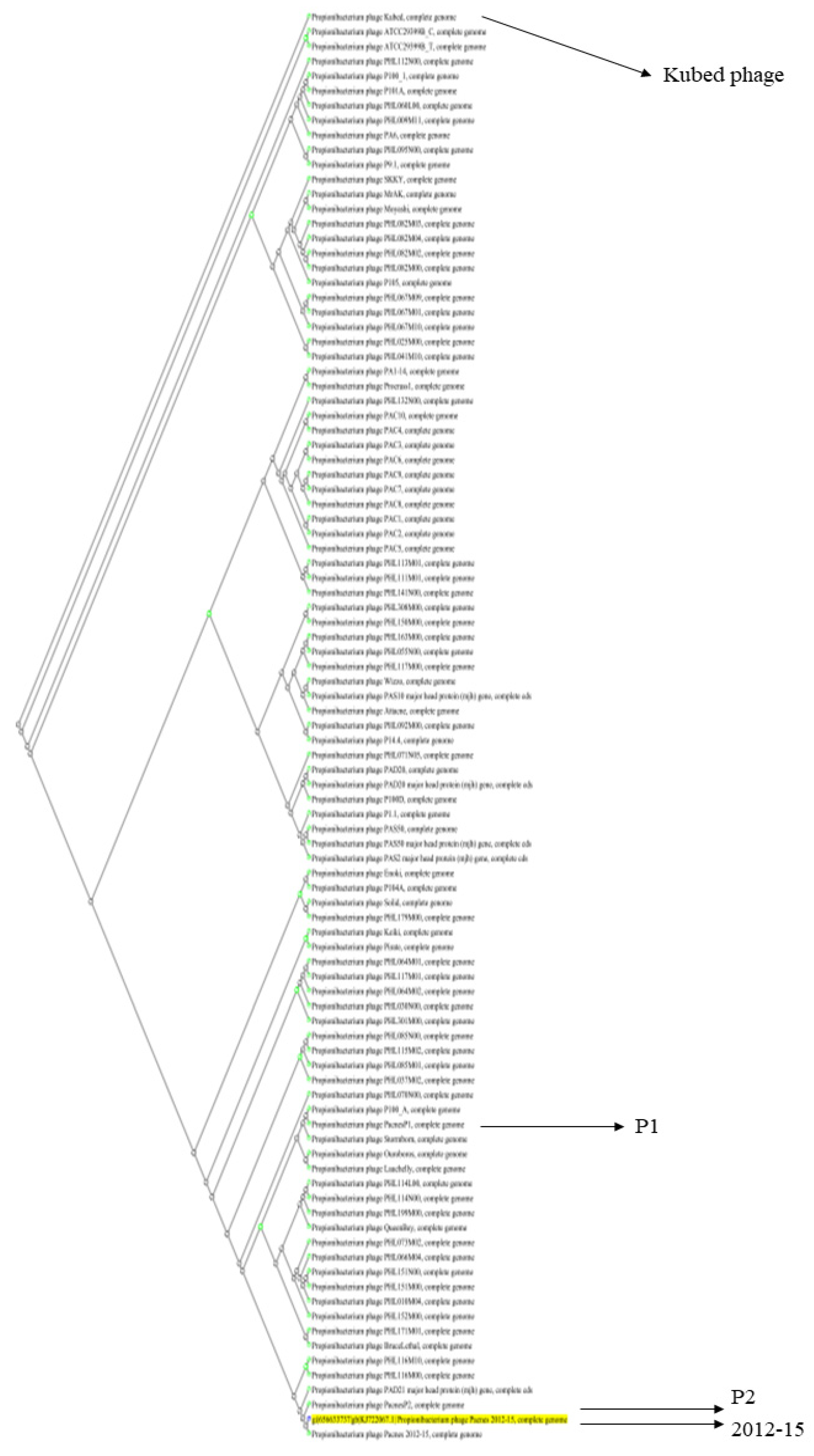 Antibiotics 11 01041 g003