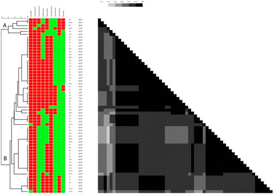 The diversity and commonalities of the radiation-resistance