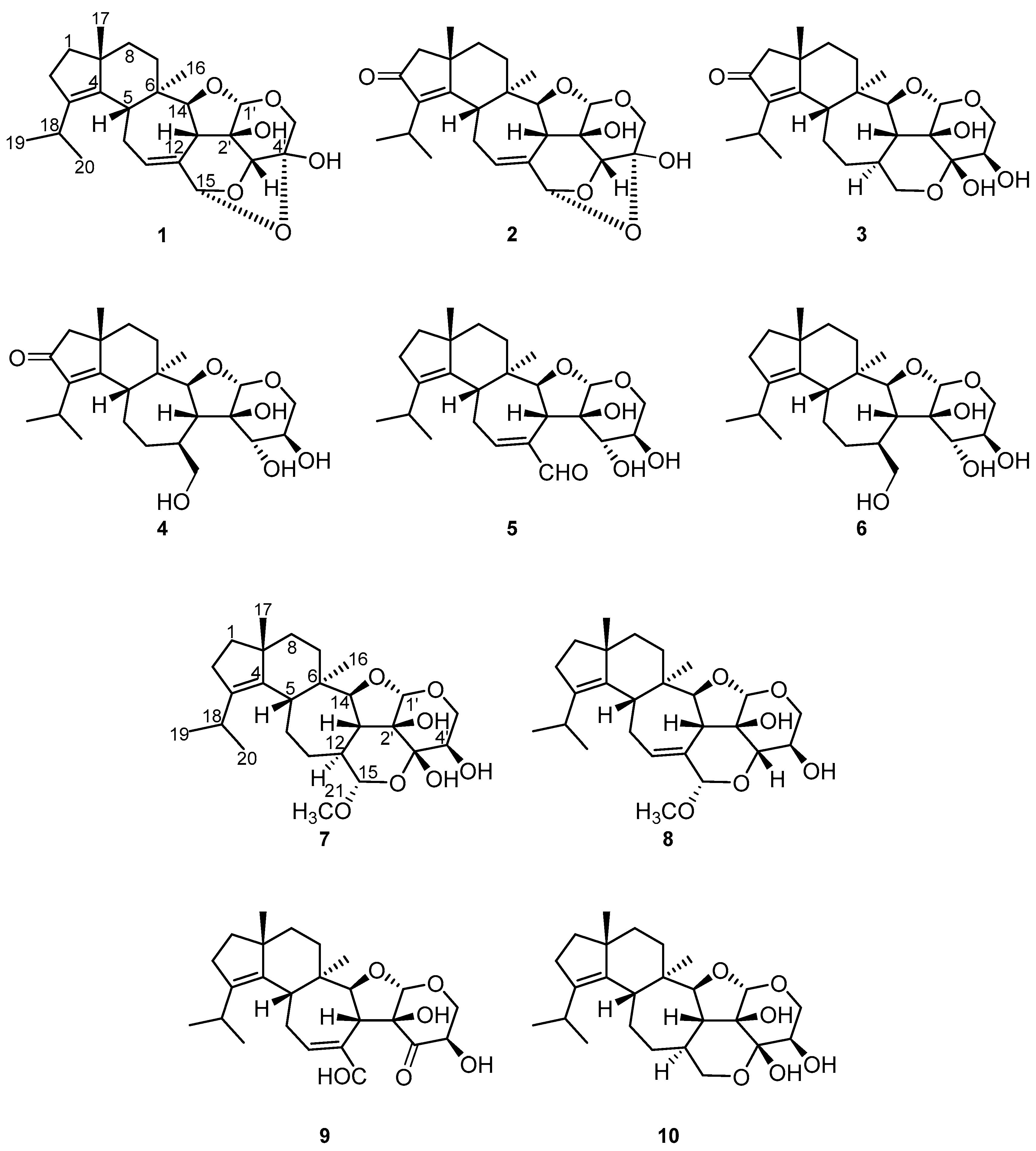 Antibiotics 11 01072 g001