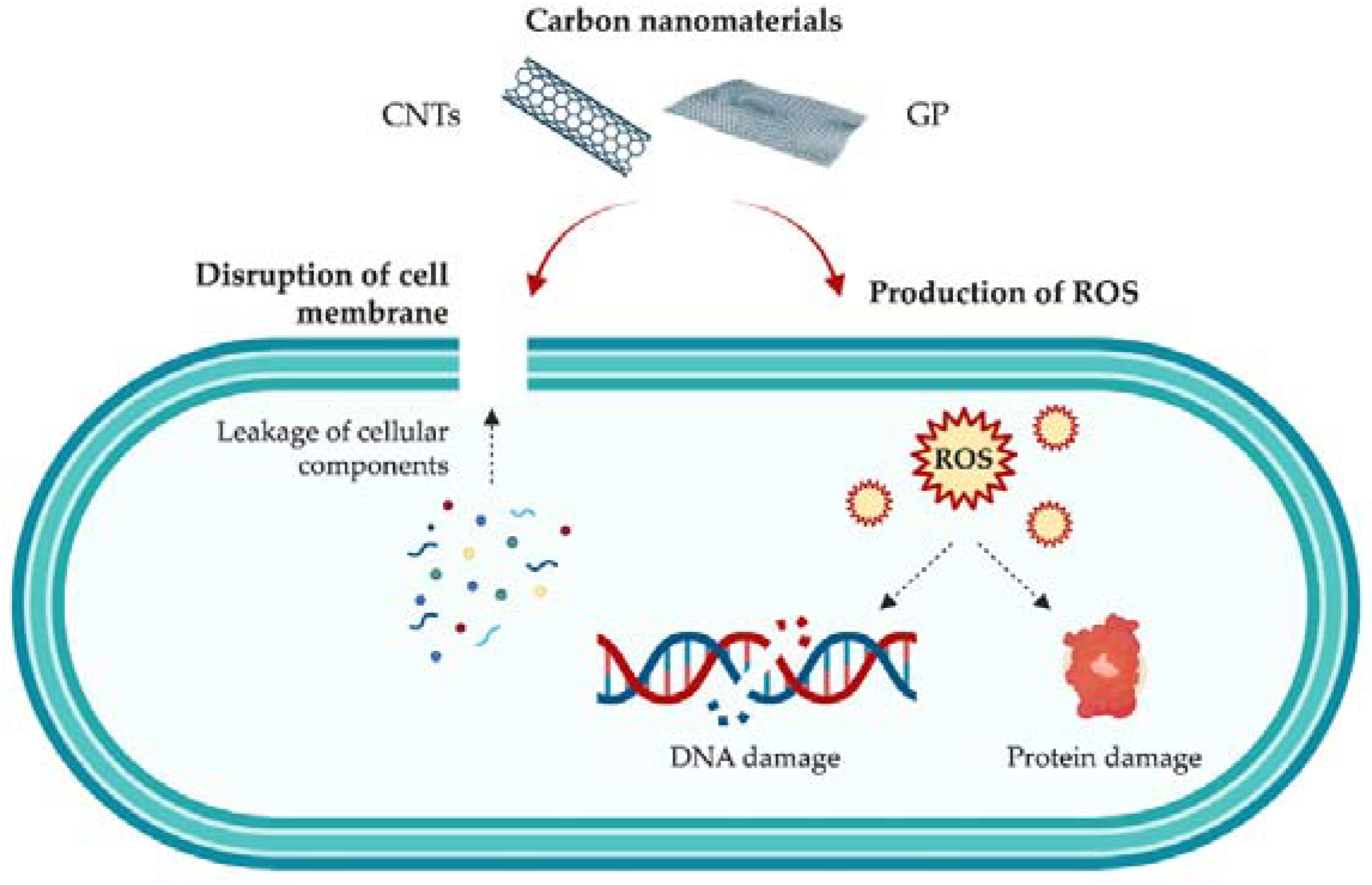 Antibiotics 11 01102 g002
