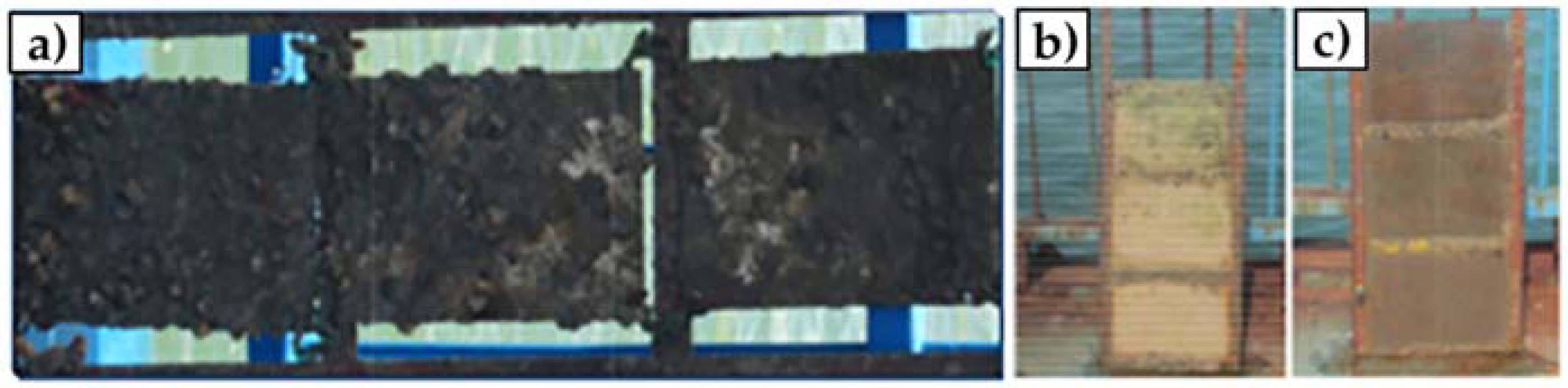 Antibiotics 11 01102 g007