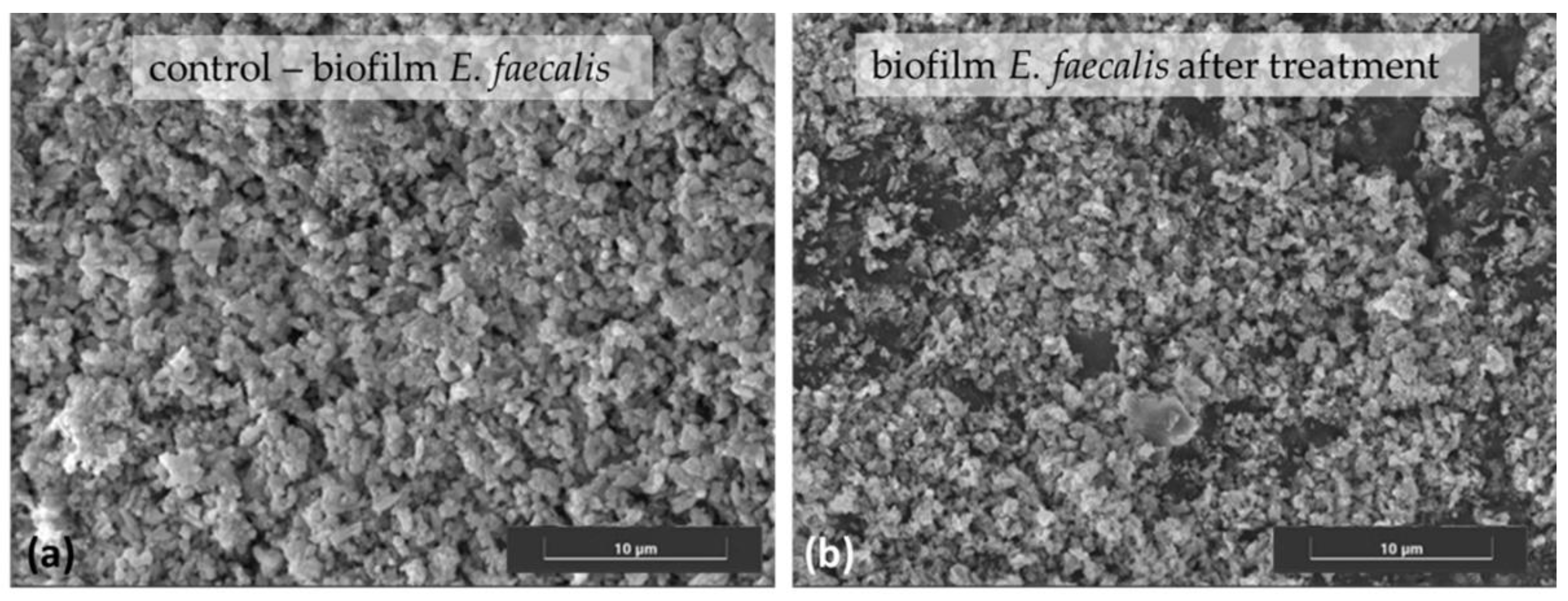 Antibiotics 11 01105 g002 Antibiotics 11 01105 g002