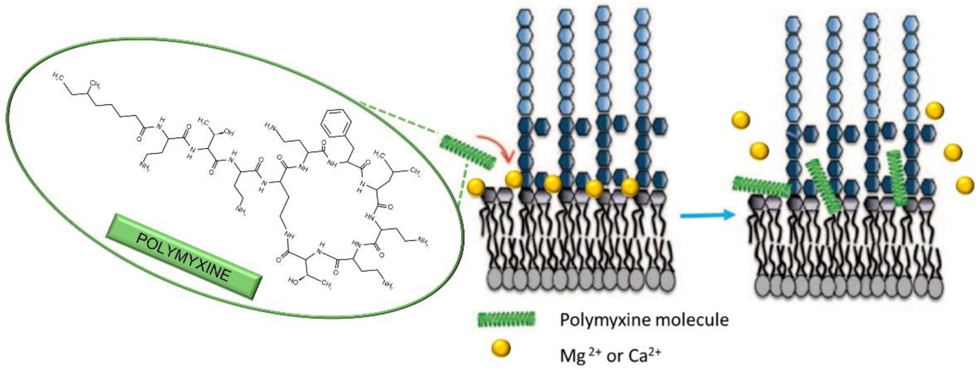 Antibiotics 11 01105 g008 Antibiotics 11 01105 g008