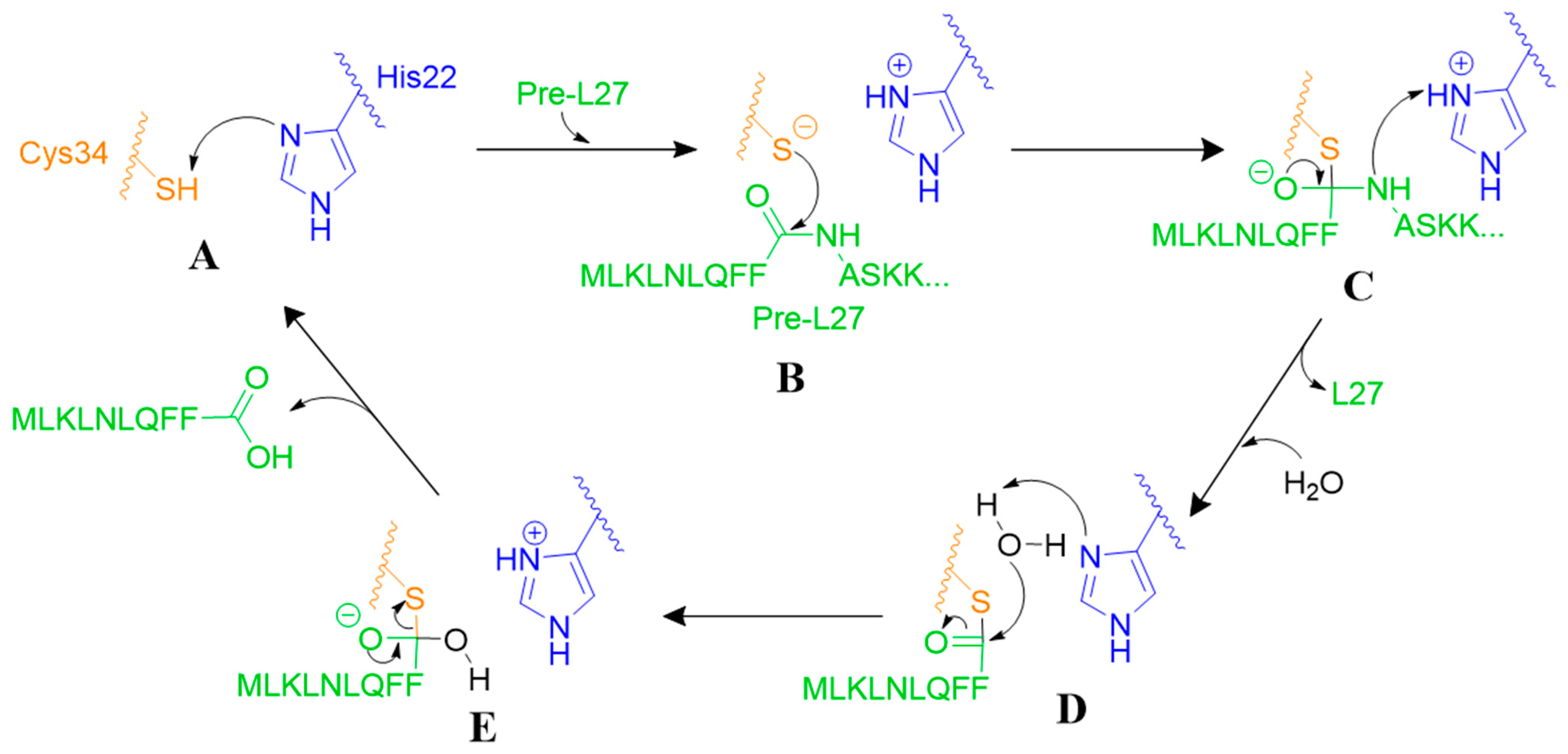 Antibiotics 11 01109 g003