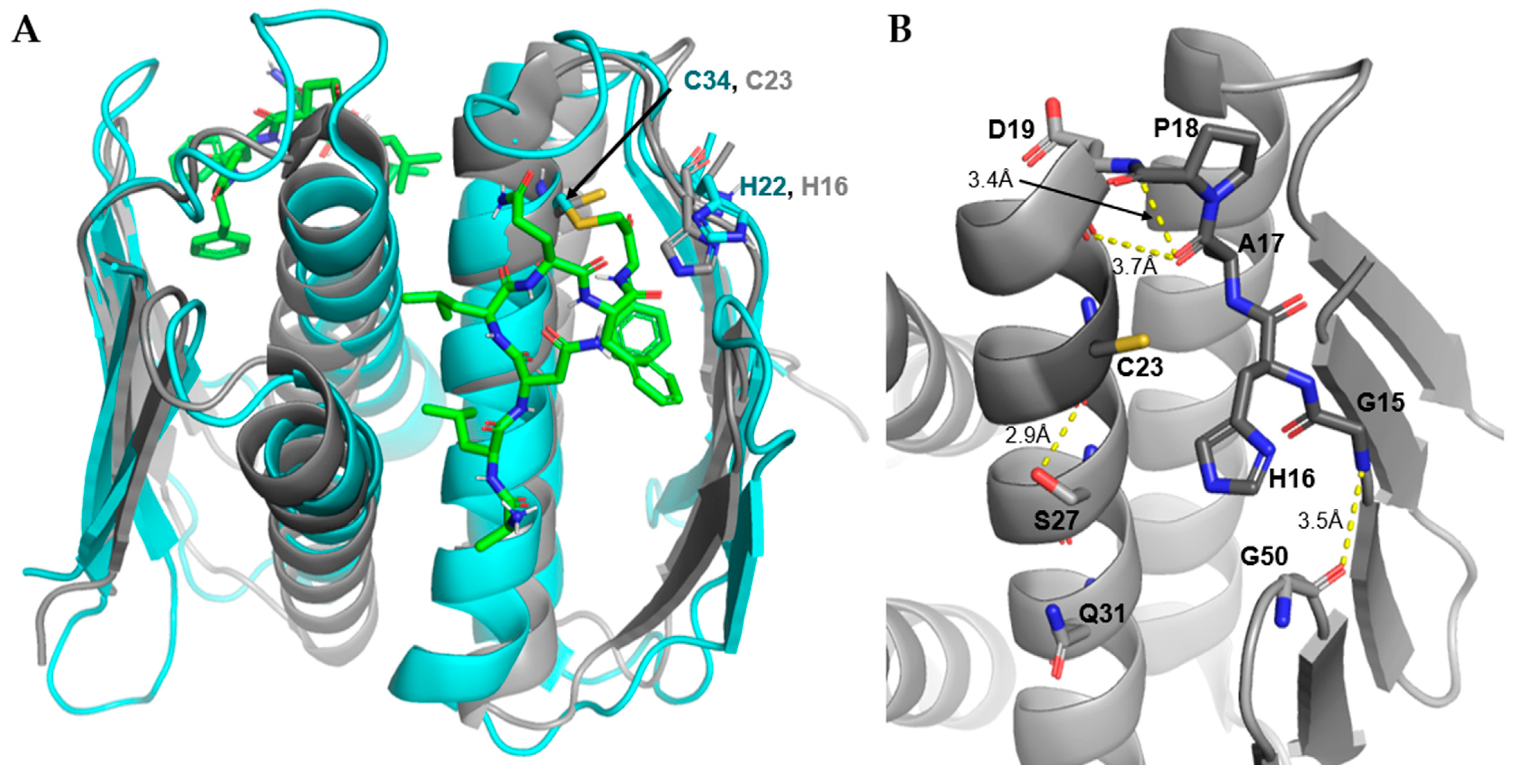 Antibiotics 11 01109 g008