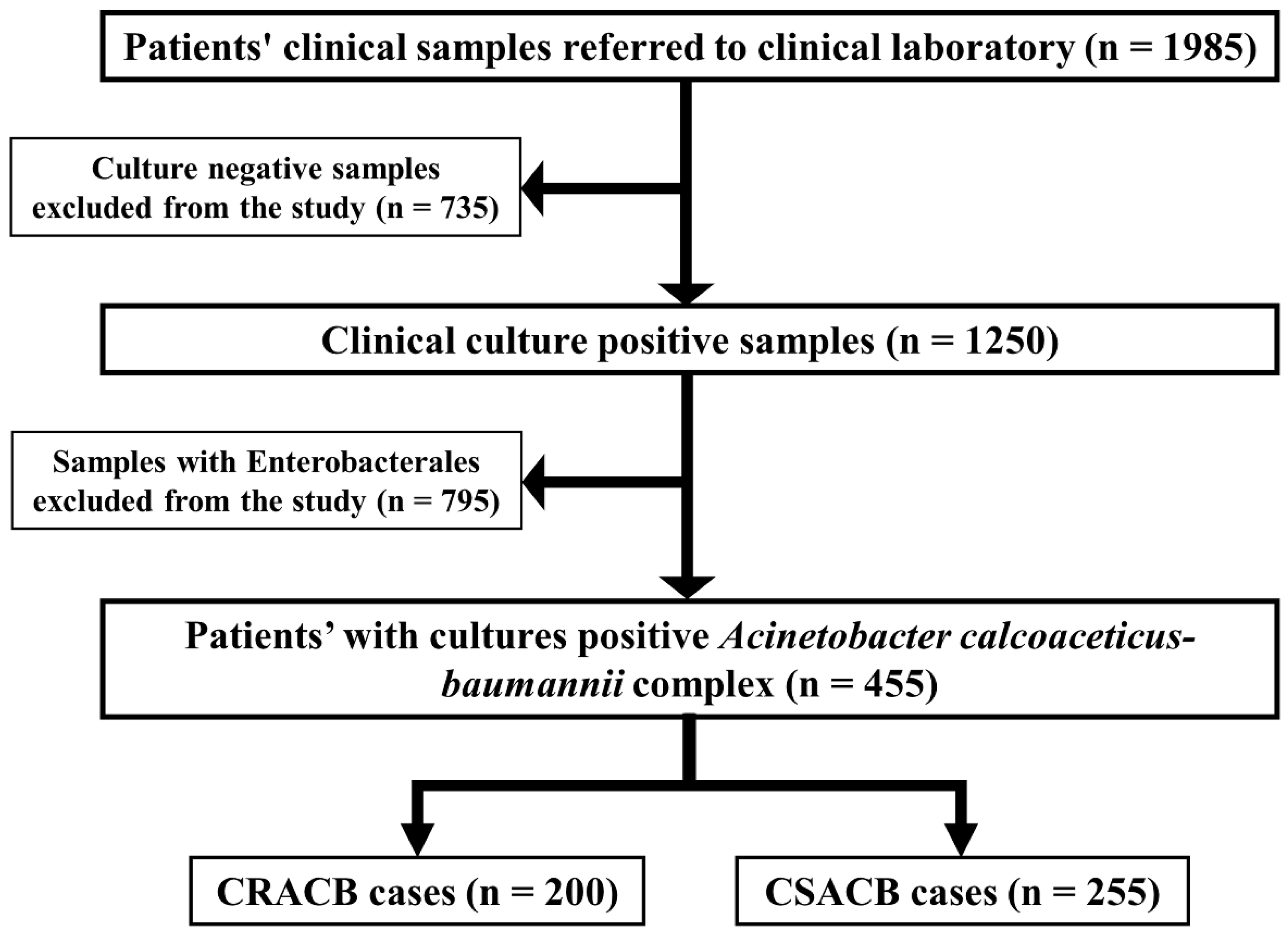 Antibiotics 11 01168 g005