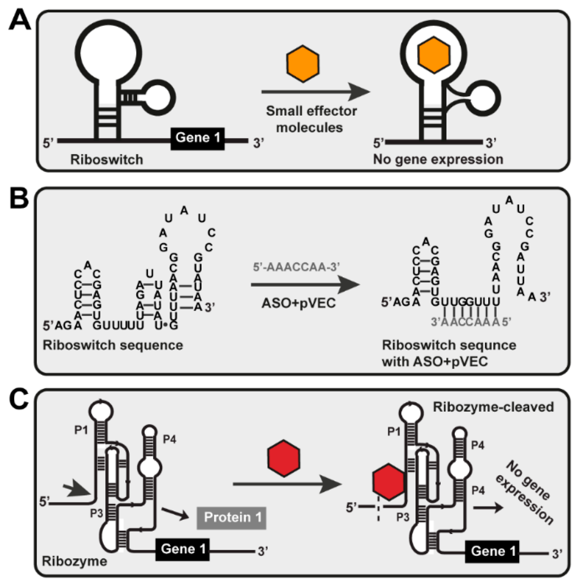 Antibiotics 11 01177 g001 Antibiotics 11 01177 g001