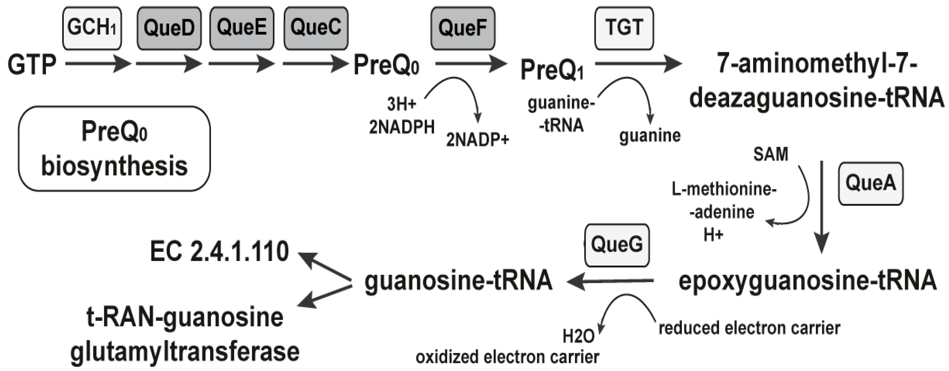 Antibiotics 11 01177 g002 Antibiotics 11 01177 g002